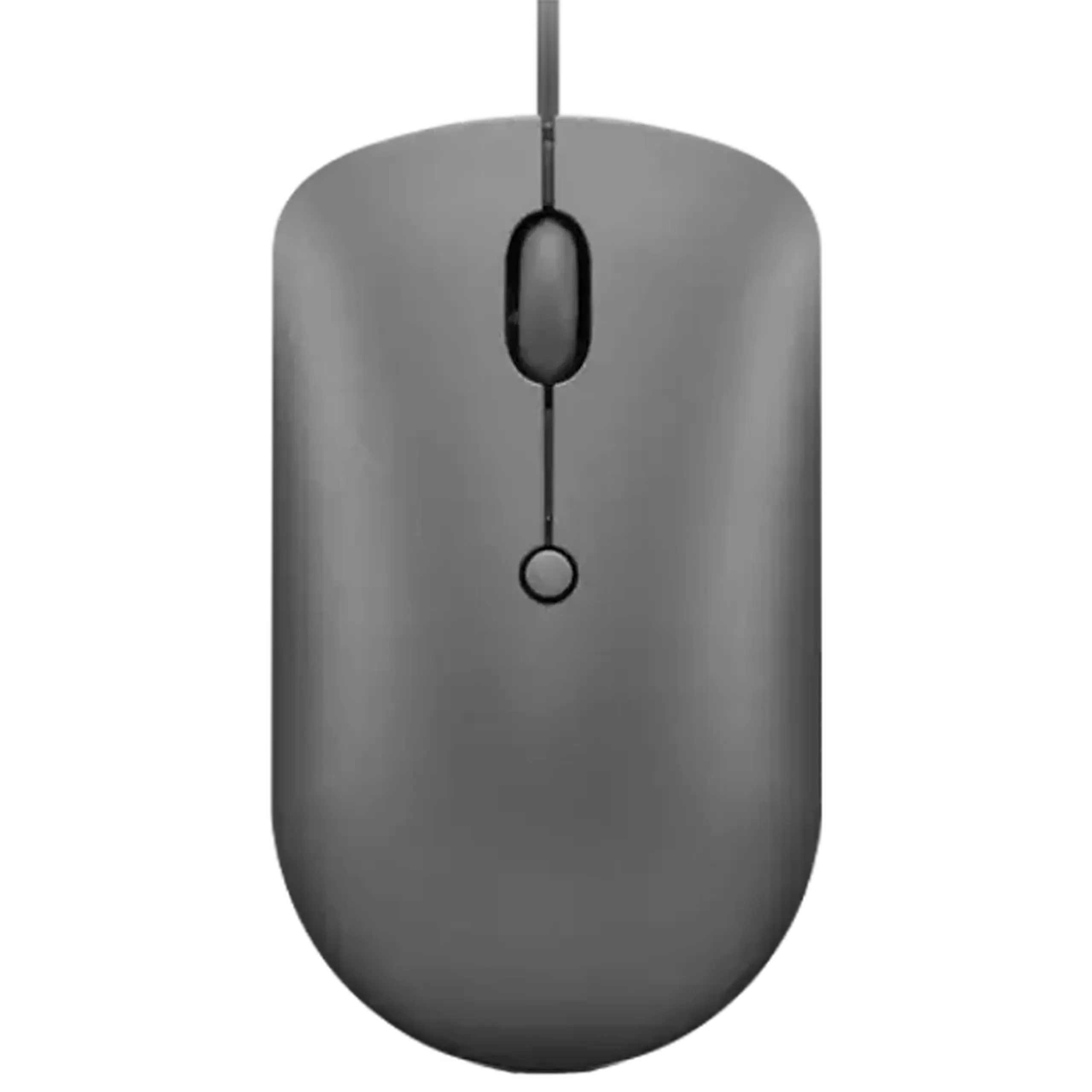 Mouse cu fir Compact Lenovo 540 USB - C (gri furtună)