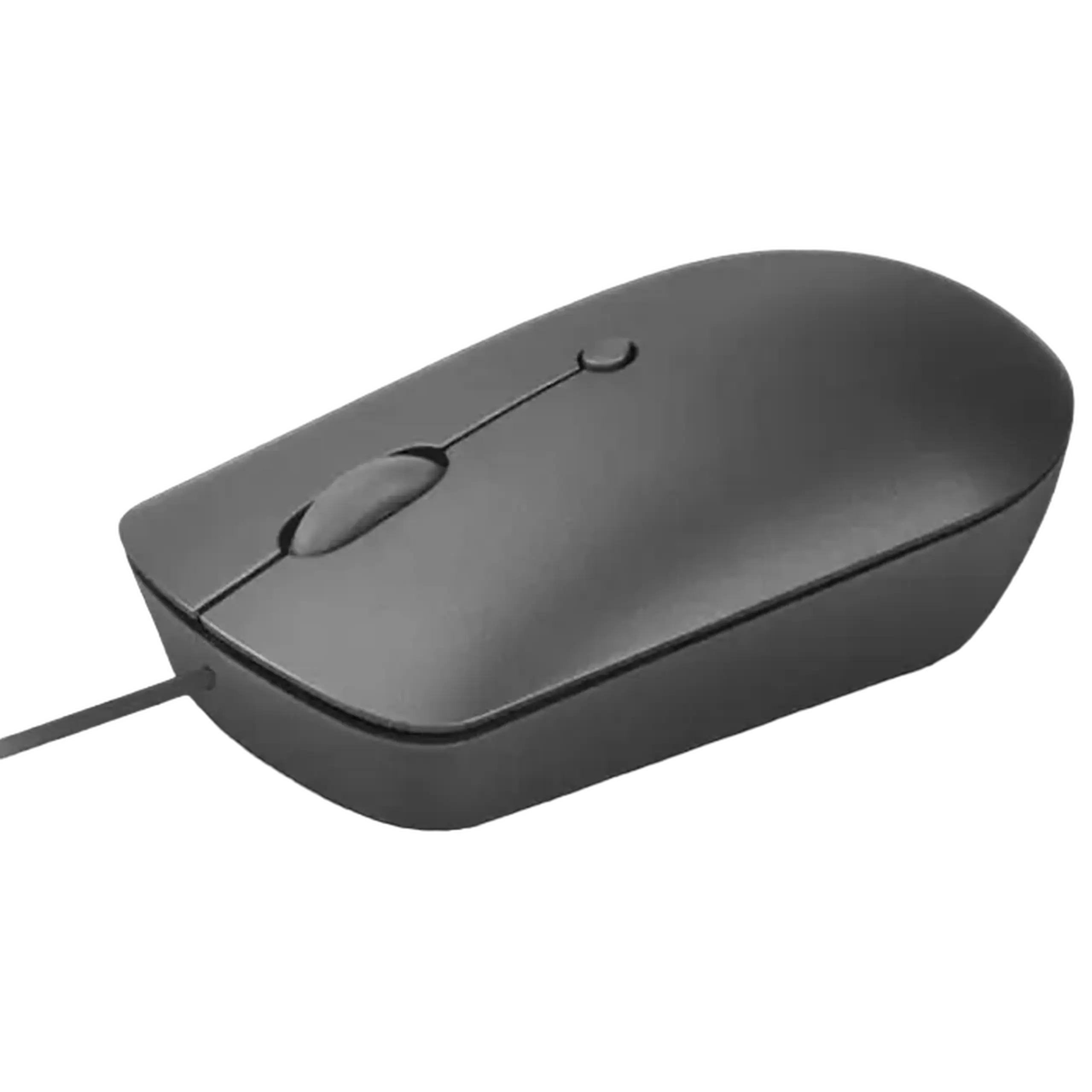 Mouse cu fir Compact Lenovo 540 USB - C (gri furtună)
