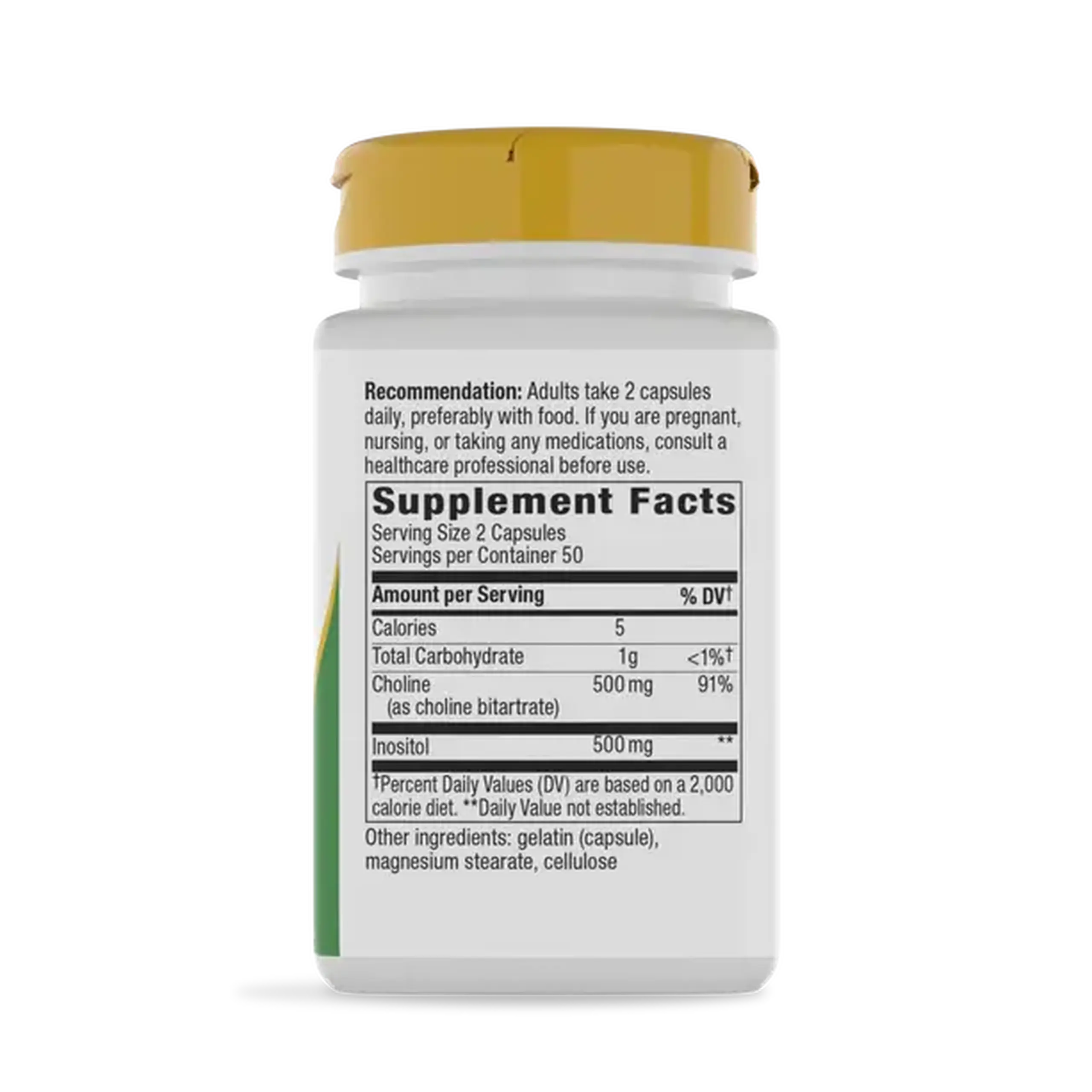 Nature's Way, Choline & Inositol 500 mg, 100 caps