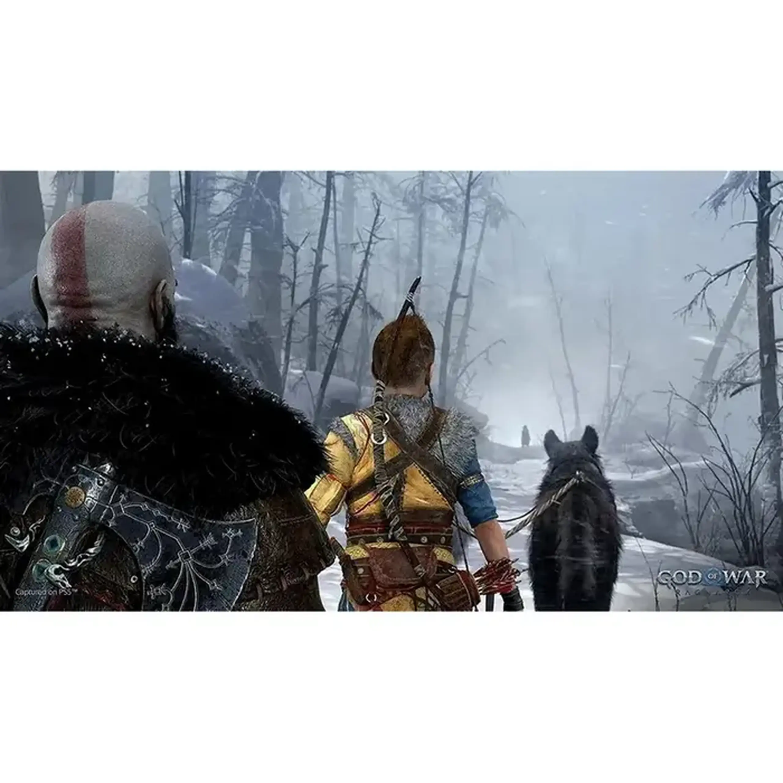 ActiVision God Of War: Ragnarok, Acțiune și aventură, PlayStation 4, Disc