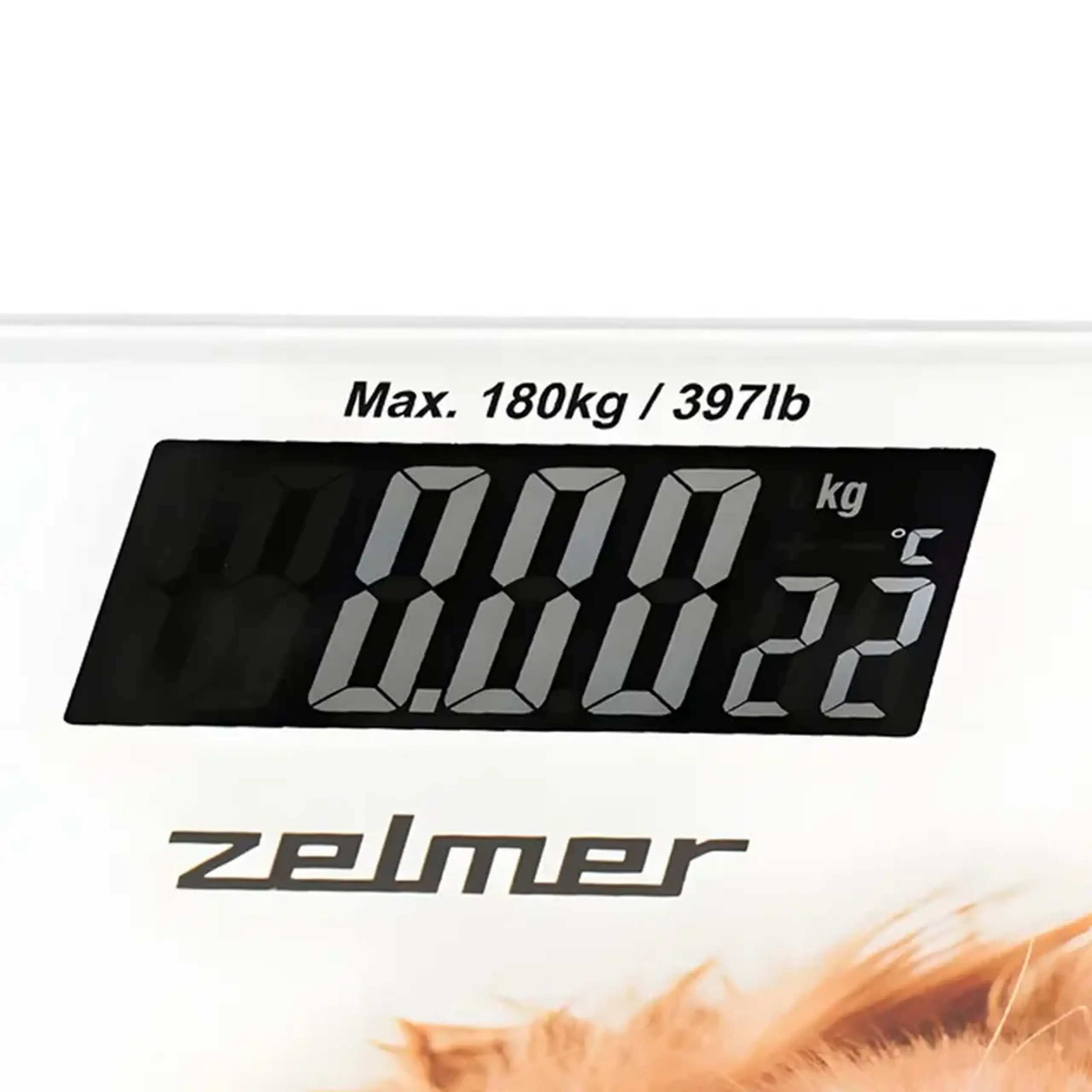 Cântar de podea Zelmer ZBS1010, Alb