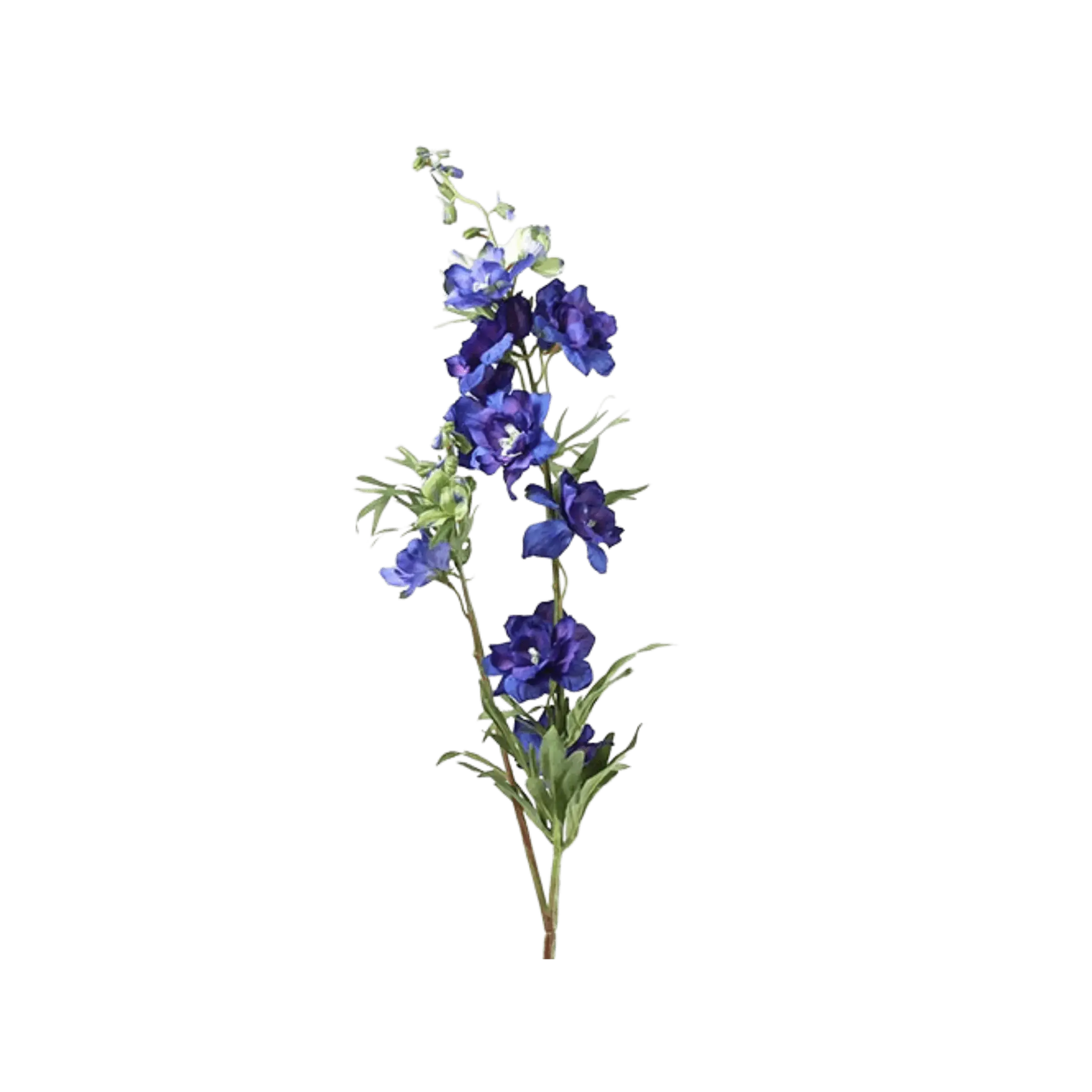 Floare 94cm Delphinium Jesika albastra