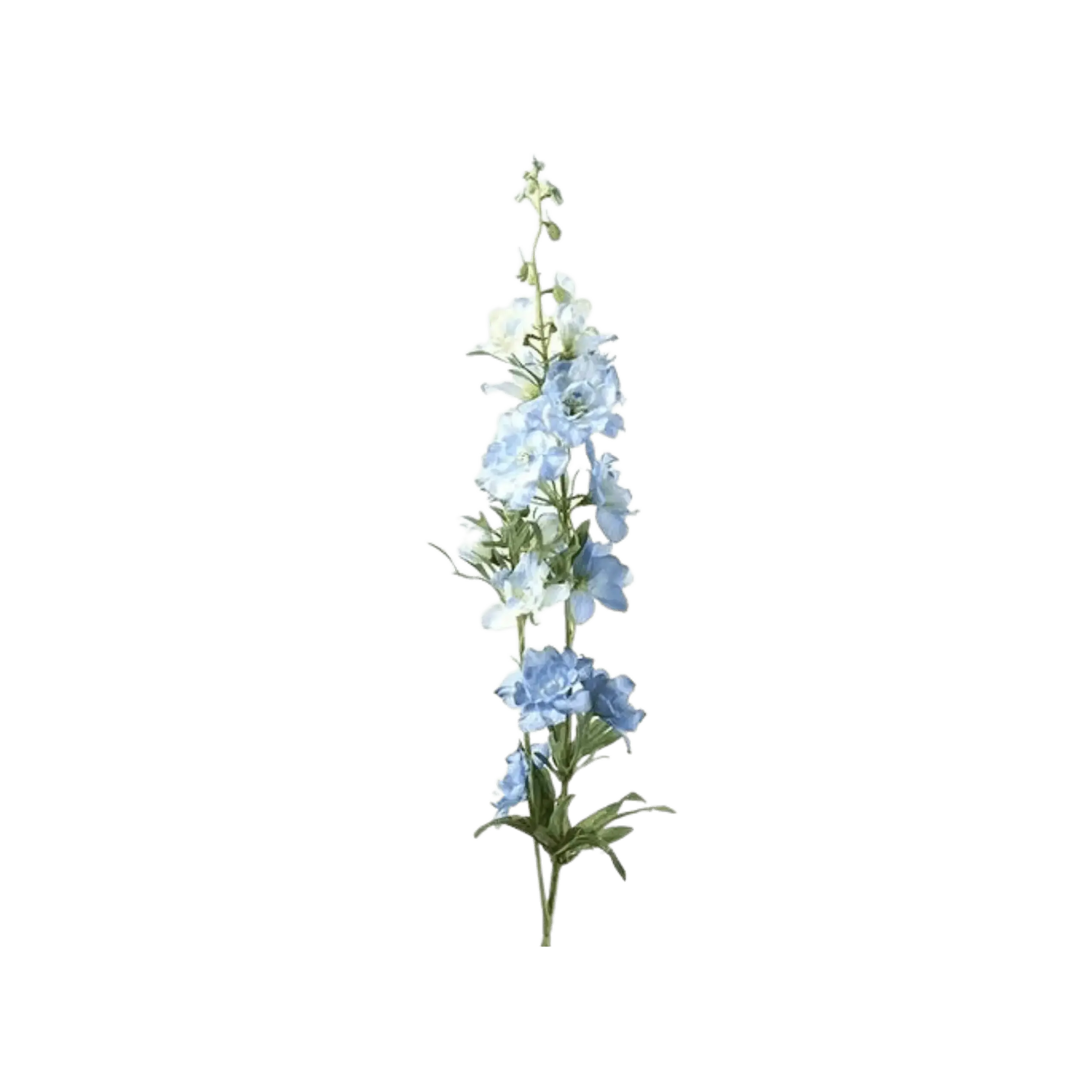 Floare 94cm Delphinium Jesika albastra