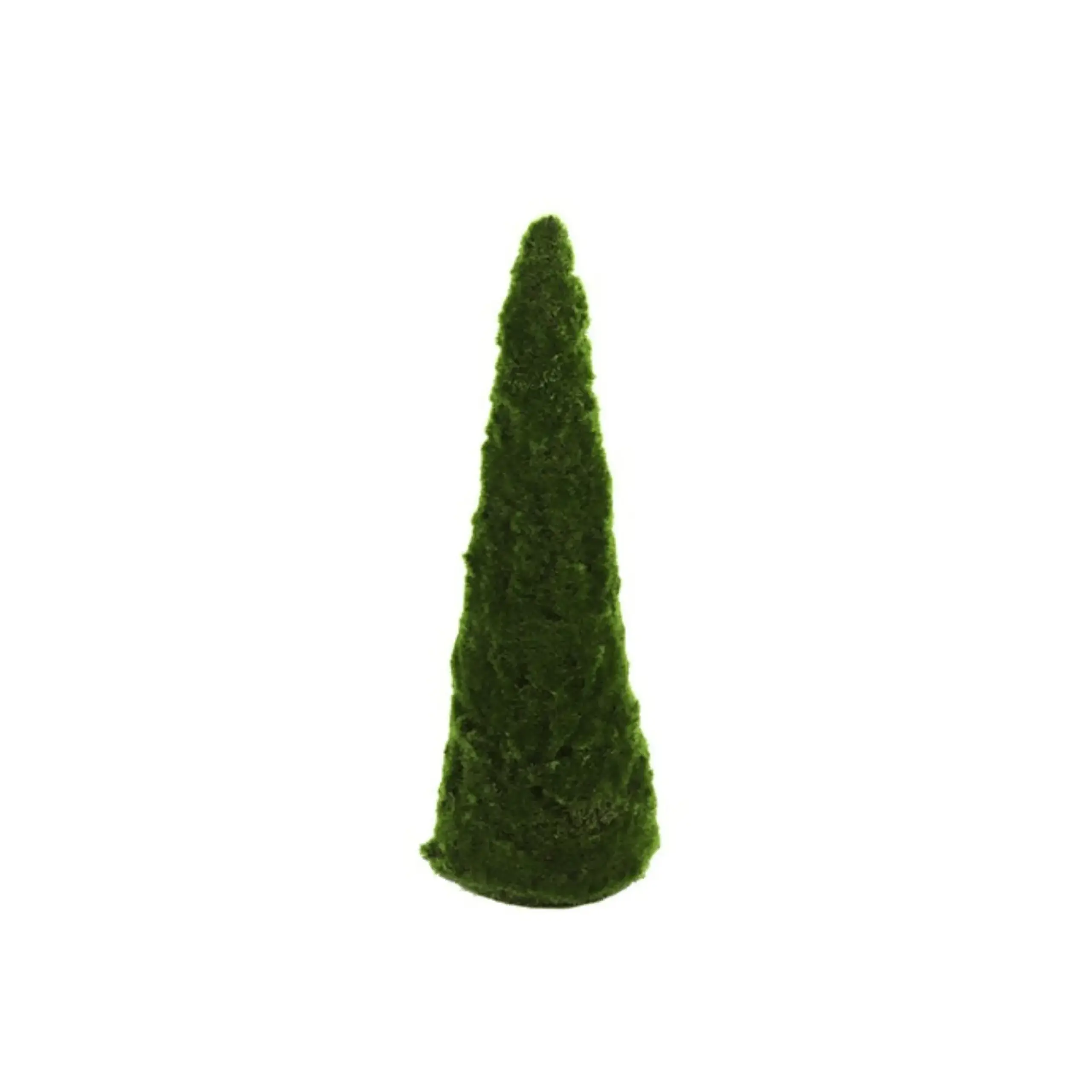Muschi 20" Trei Bryophyta Green