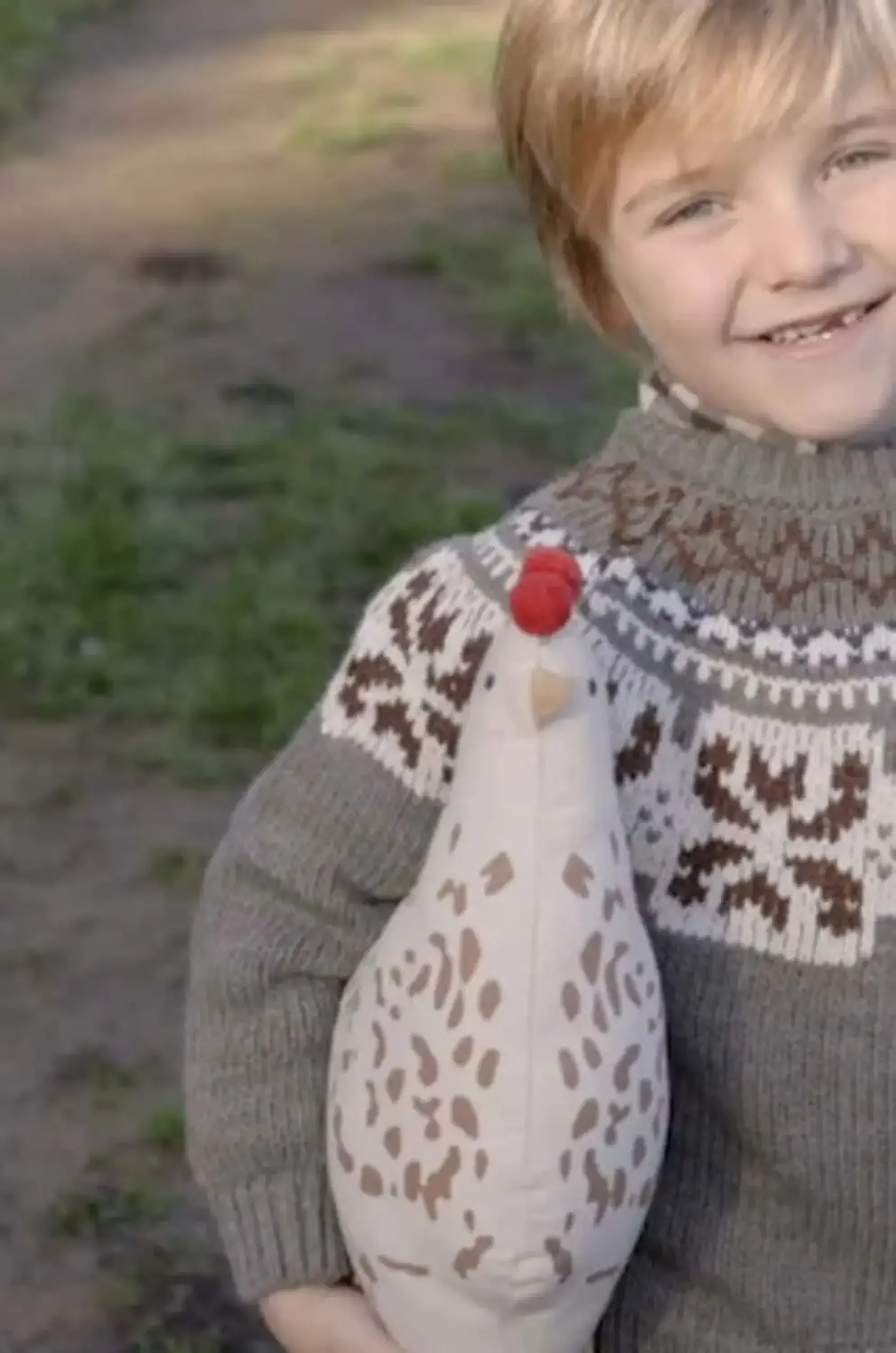 Pernă decorativă „Chicken” — Lorena Canals