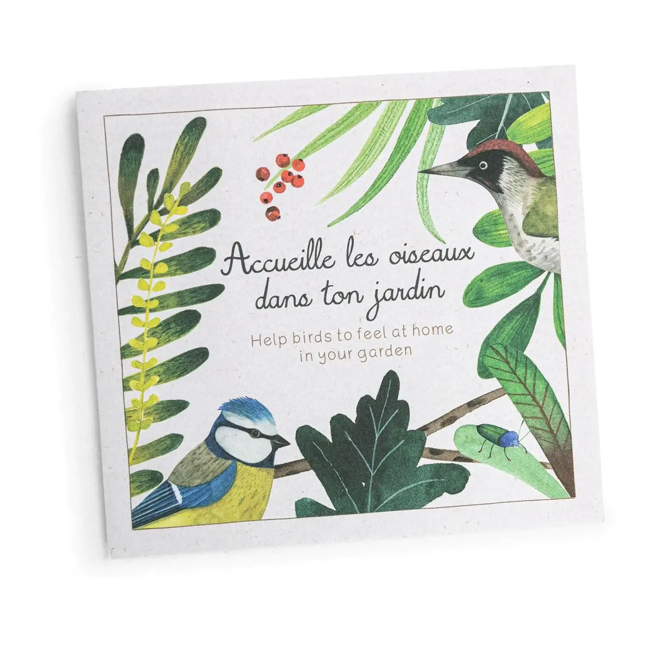 Set „Descoperim păsările”, Le Jardin du Moulin — Moulin Roty