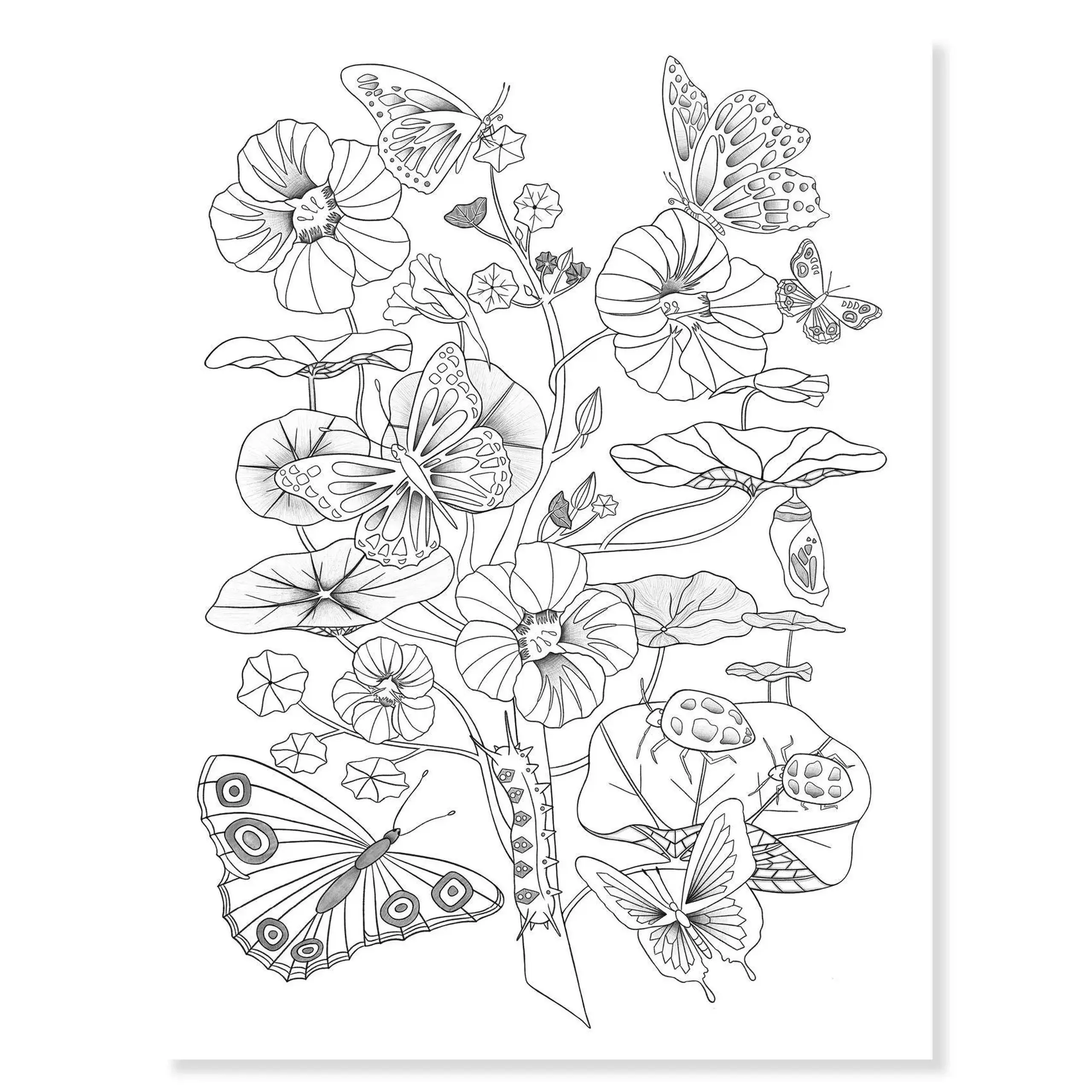Postere de colorat „Faună și floră” — Djeco
