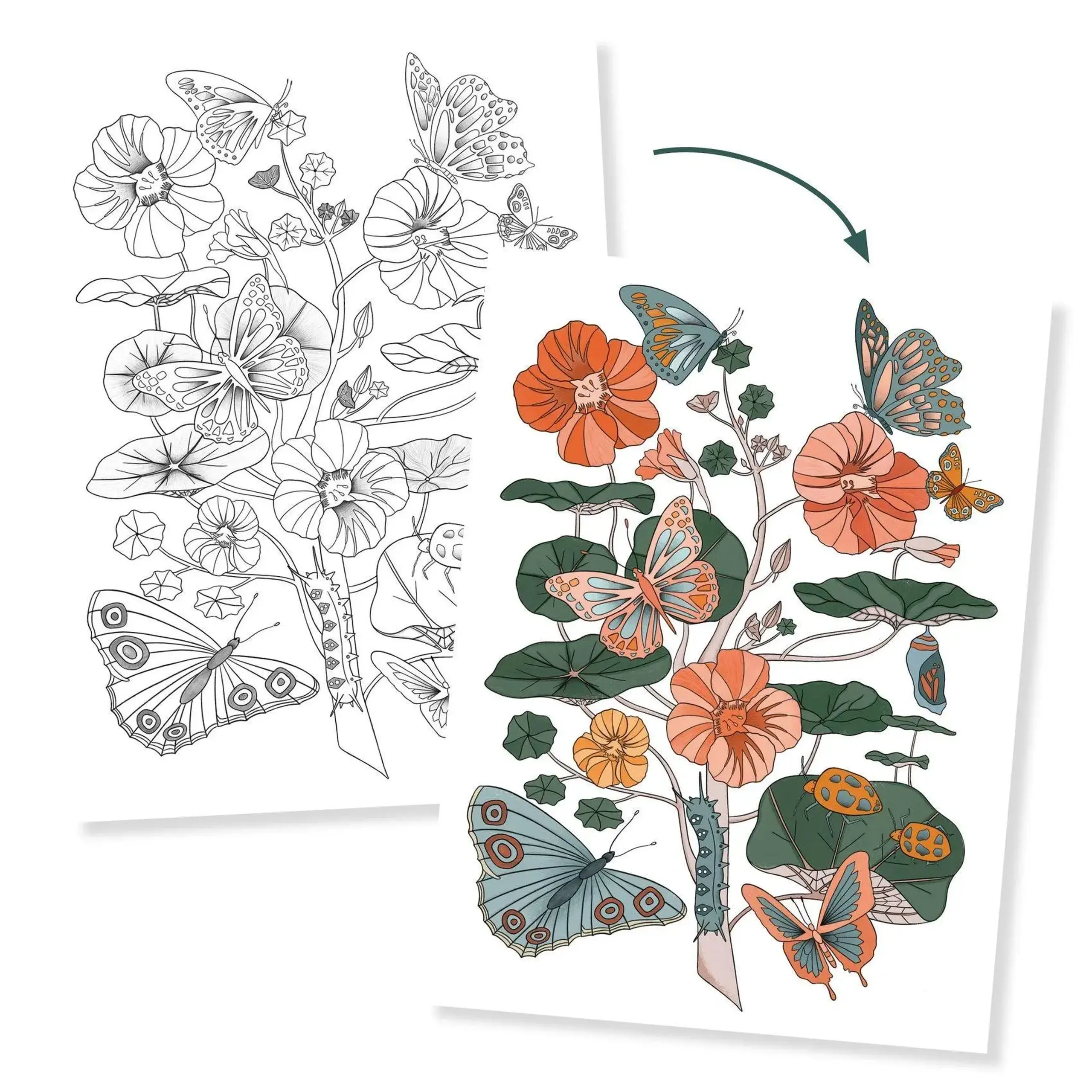 Postere de colorat „Faună și floră” — Djeco