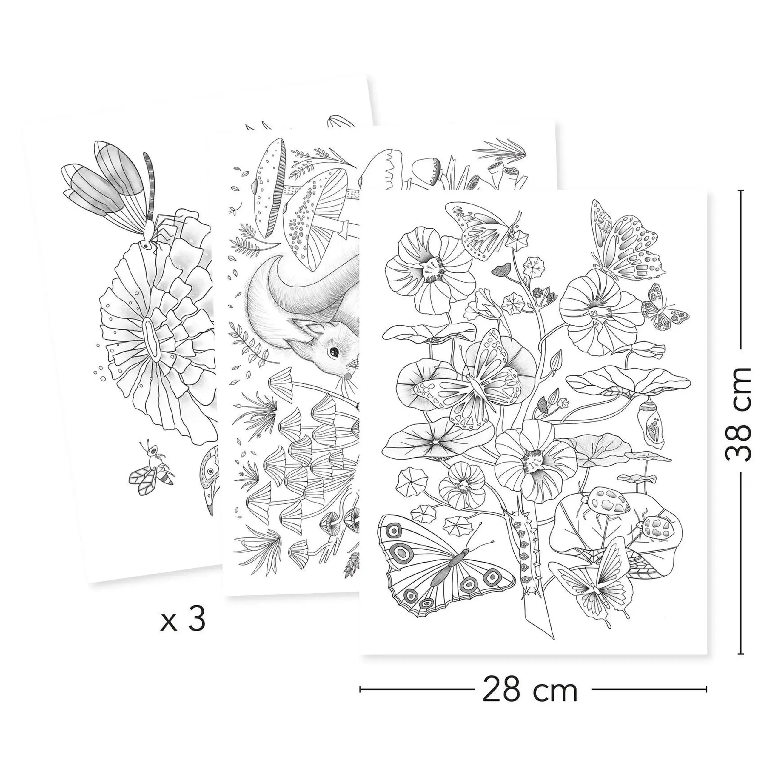 Postere de colorat „Faună și floră” — Djeco