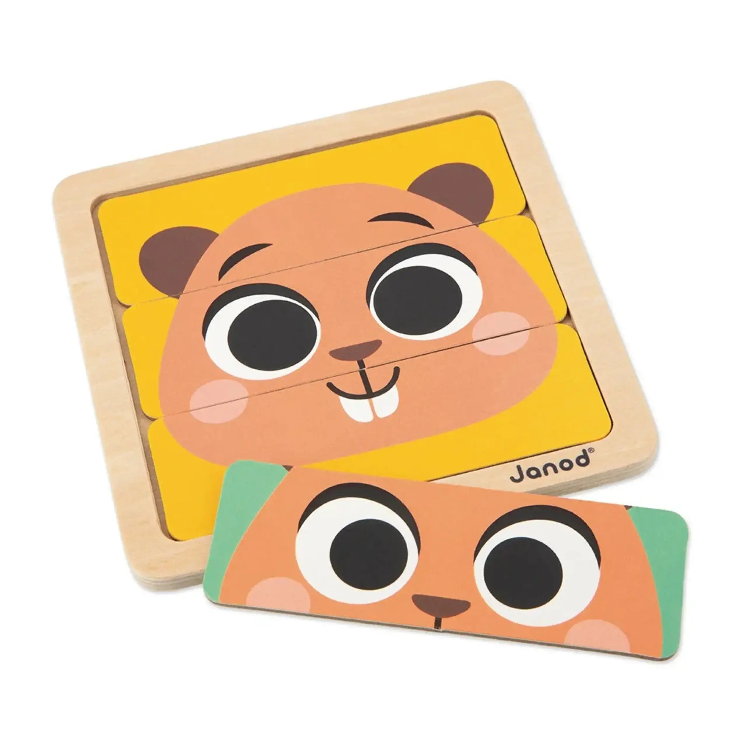 Janod Box cu 4 jocuri educative — 36 luni