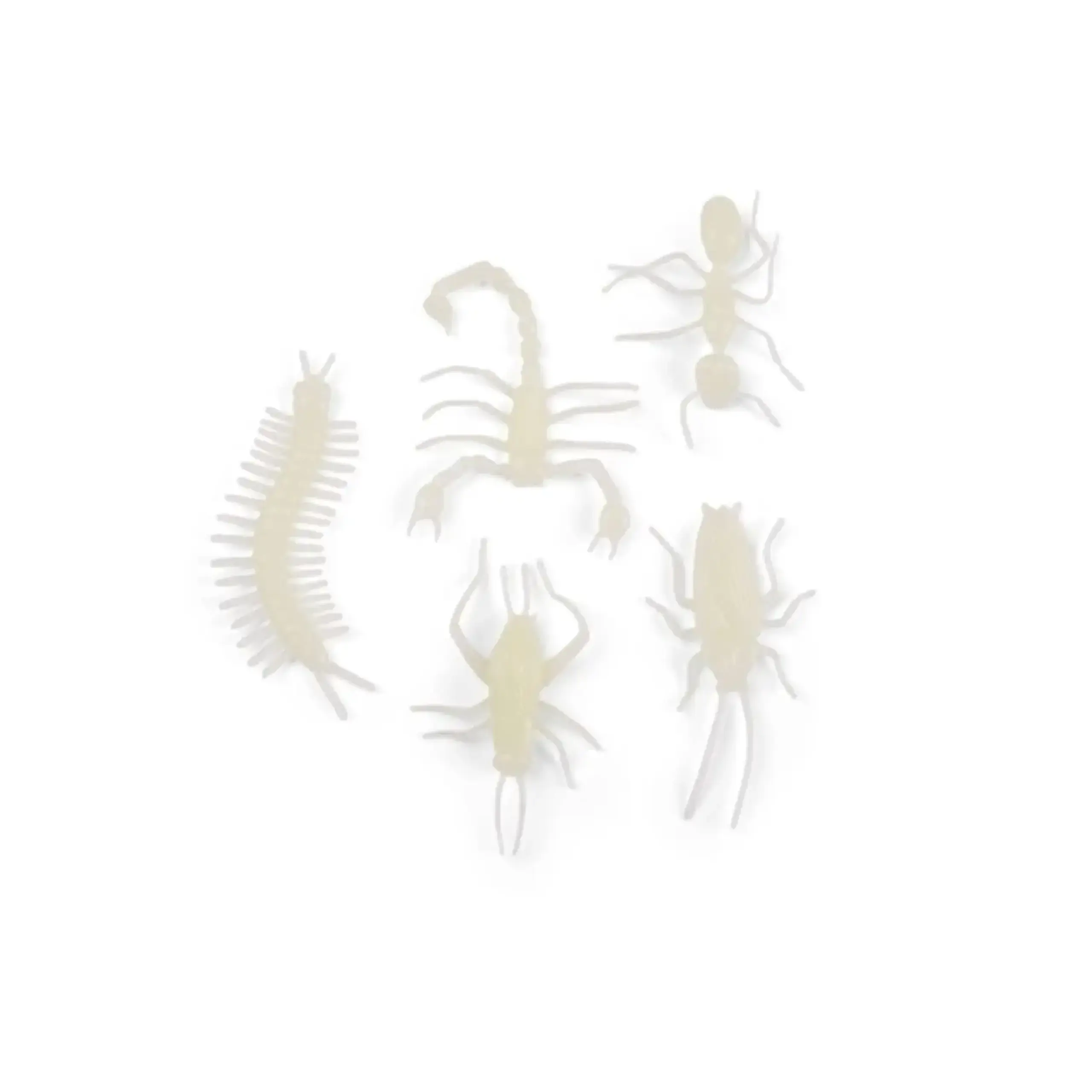 Set de 5 insecte fosforescente, Les Petites Merveilles — Moulin Roty