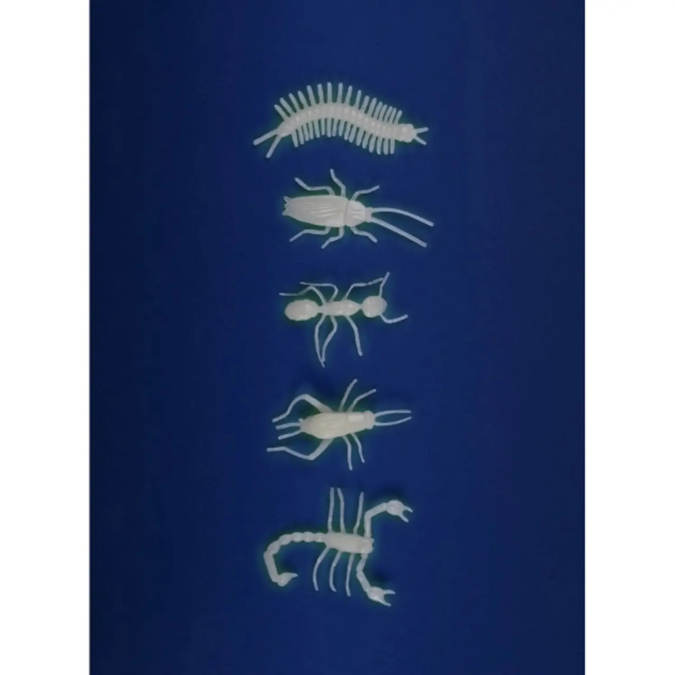 Set de 5 insecte fosforescente, Les Petites Merveilles — Moulin Roty