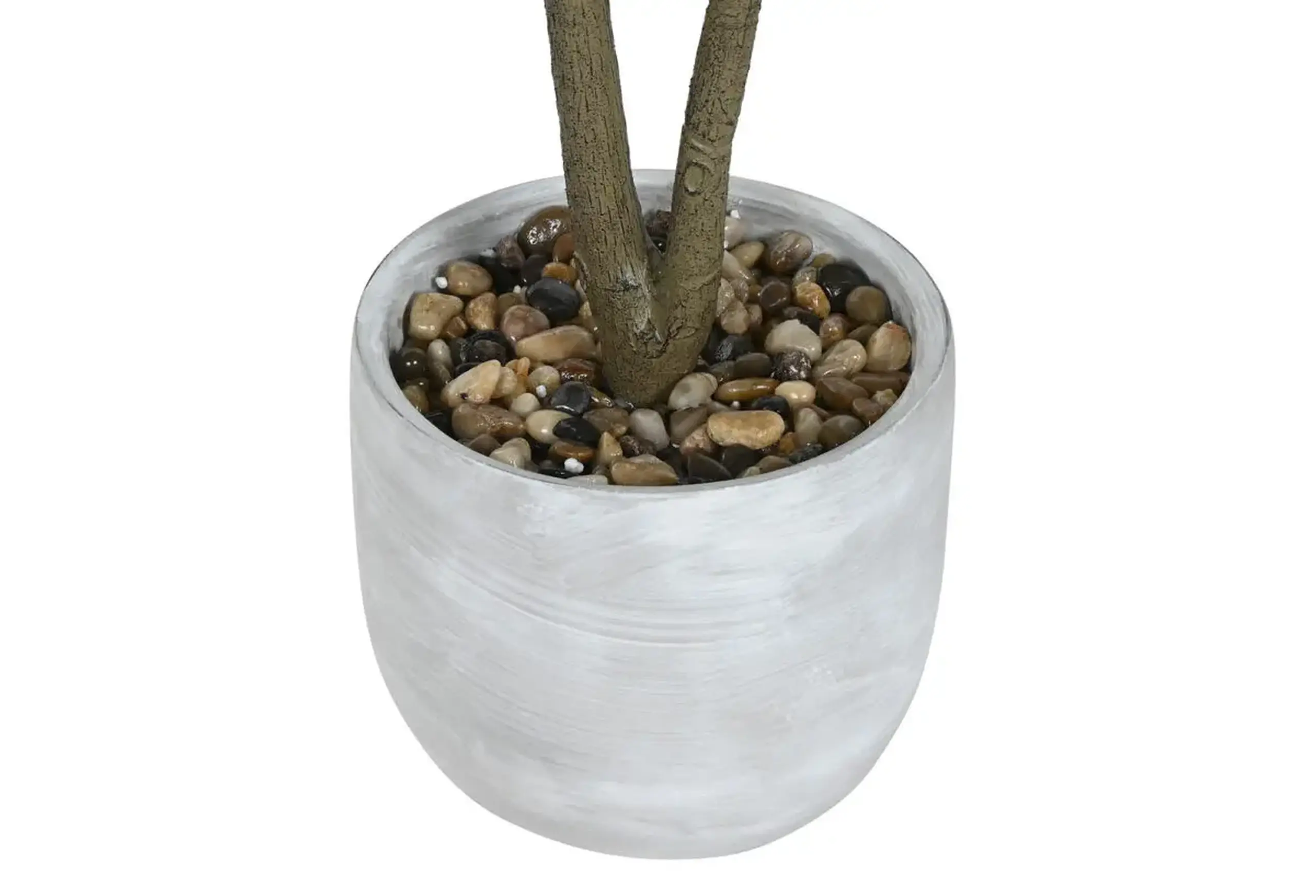 Copac decorativ „Lemon” în ghiveci 80cm