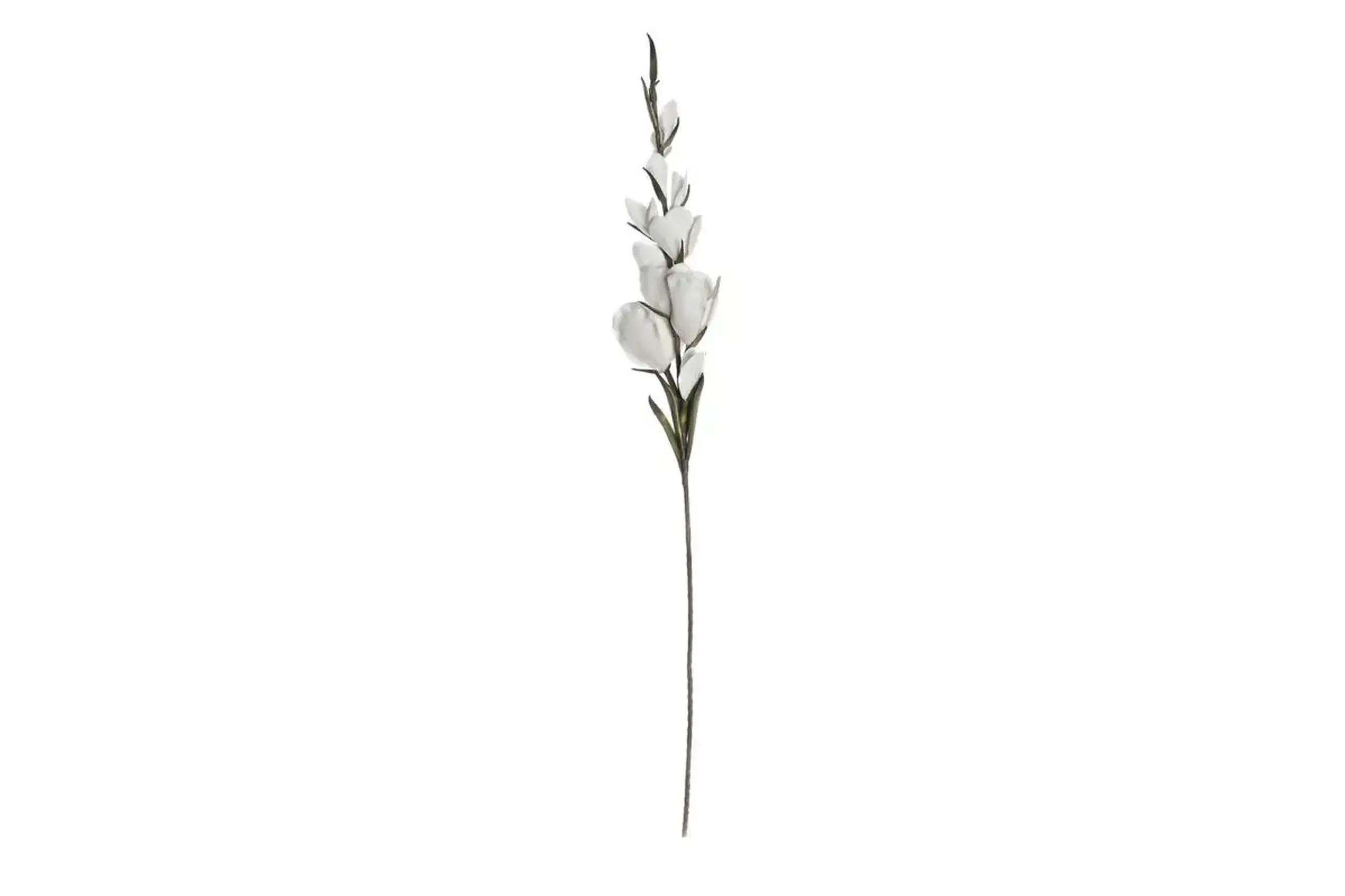 Flori decorative Magnolia White