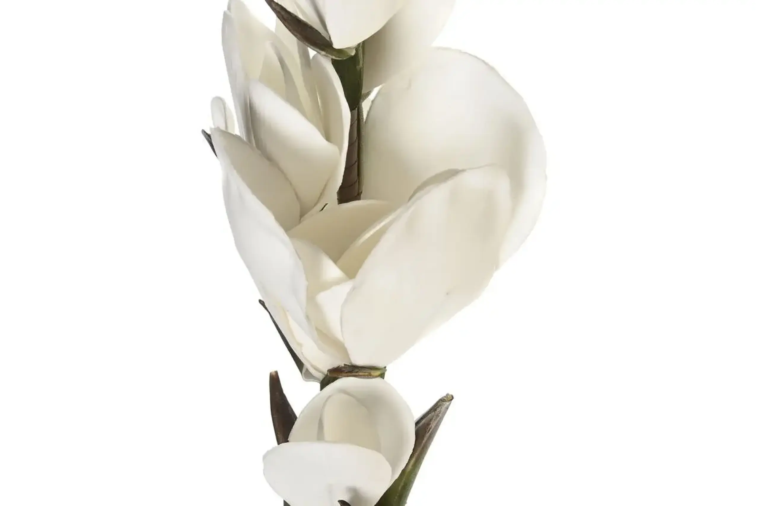 Flori decorative Magnolia White