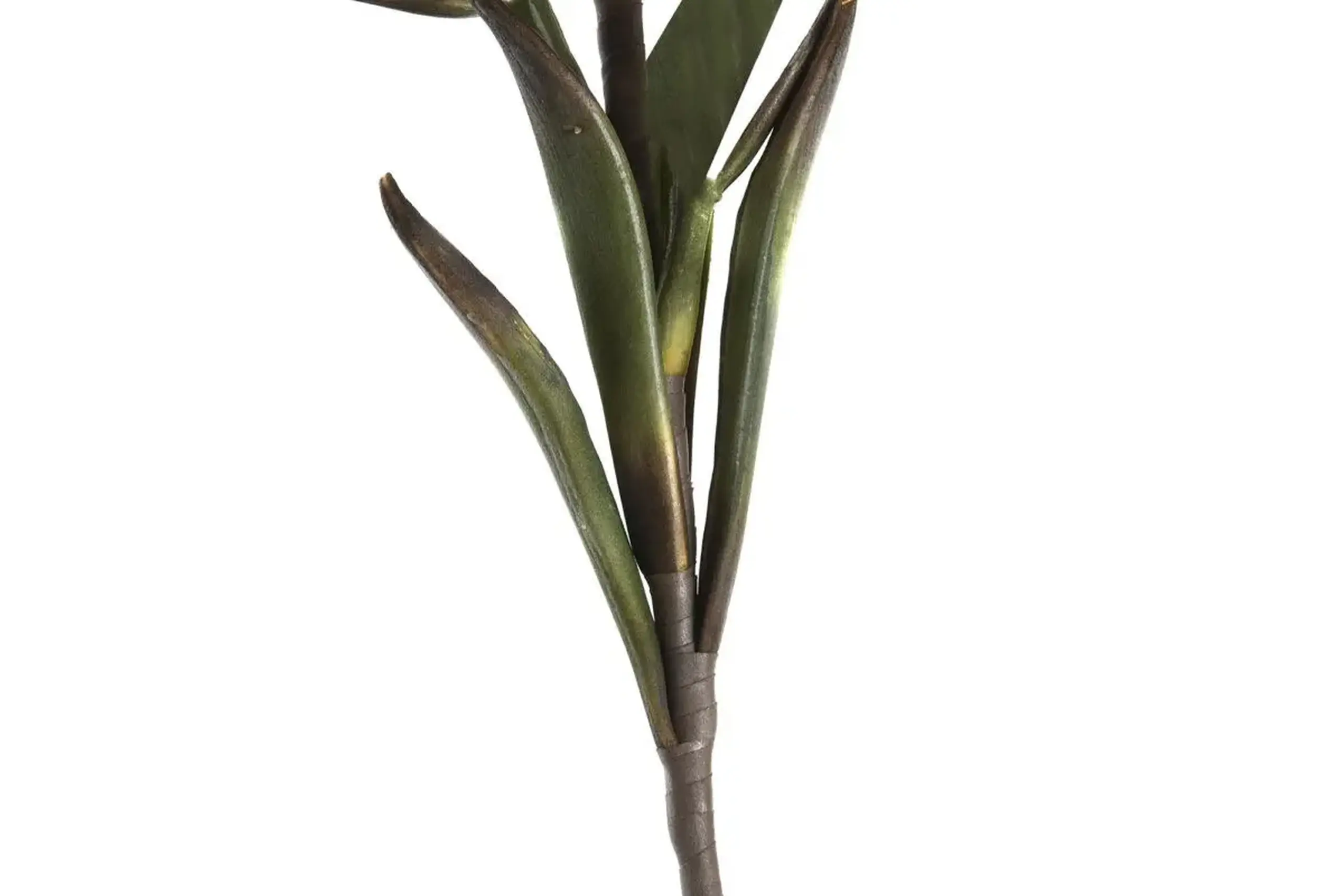 Flori decorative Magnolia White