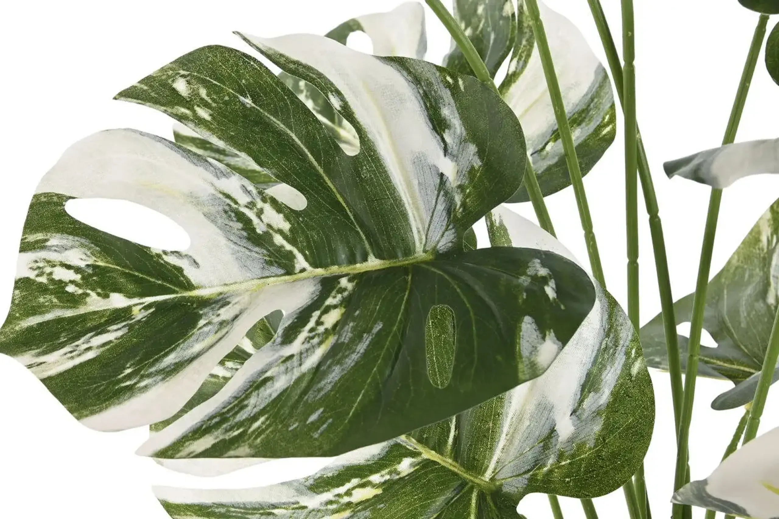 Plantă decorativă MONSTERA, 66cm