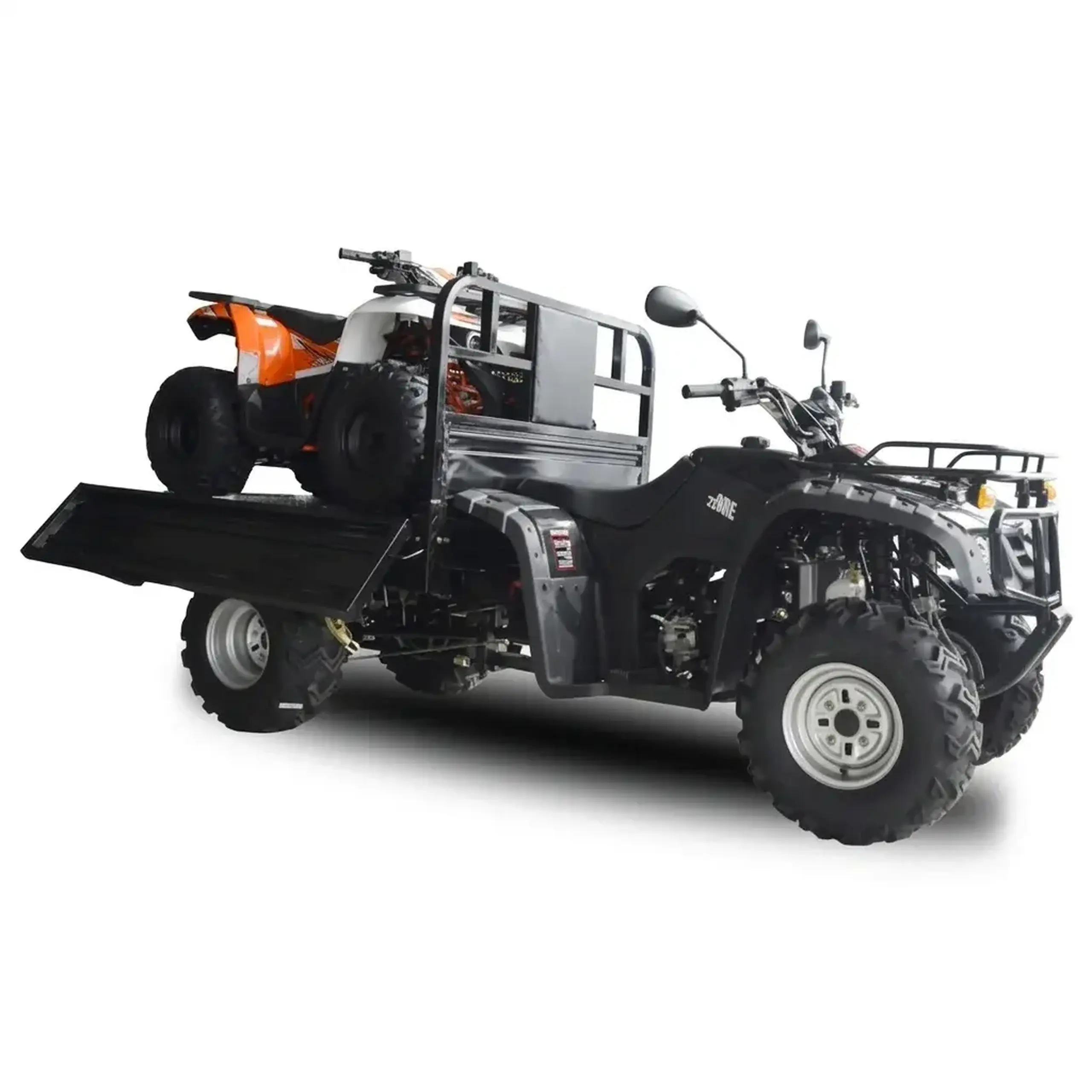 Bashan 300