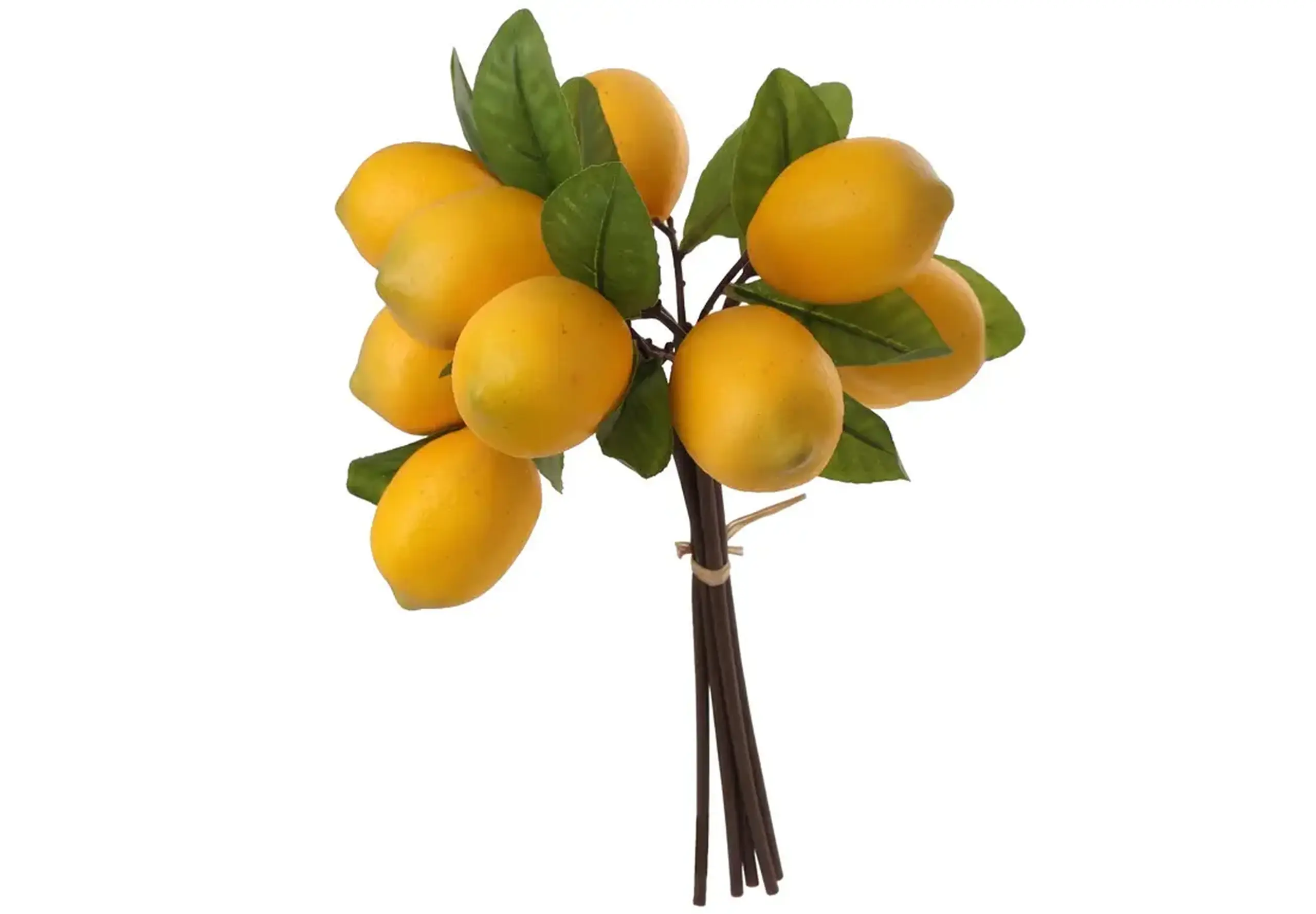 Buchet de Lămâie, 5 crenguțe, 32cm