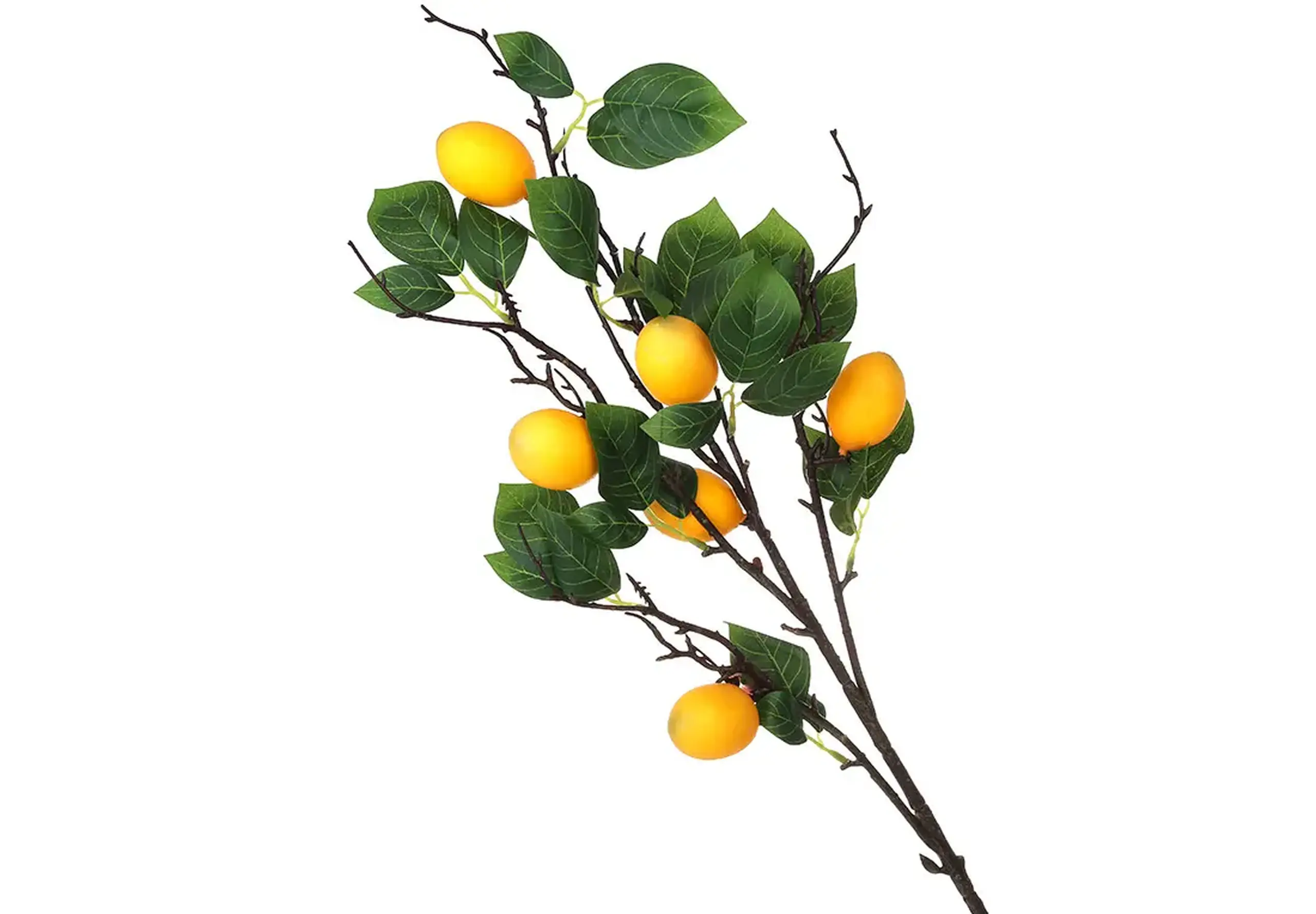 Crenguță de Lămâie, 92cm