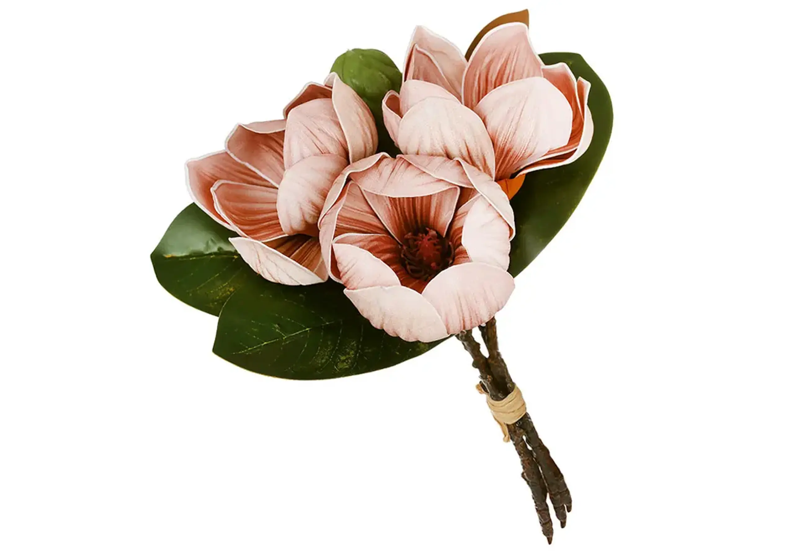 Buchet de magnolii 26 cm