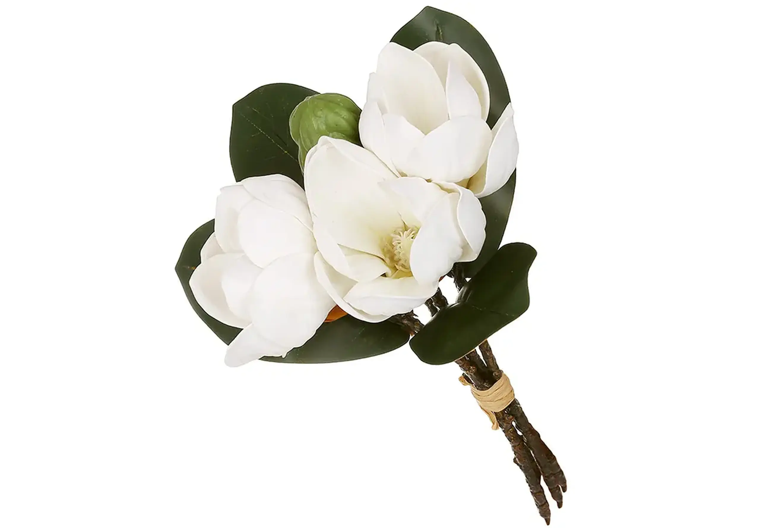 Buchet de magnolii 26 cm