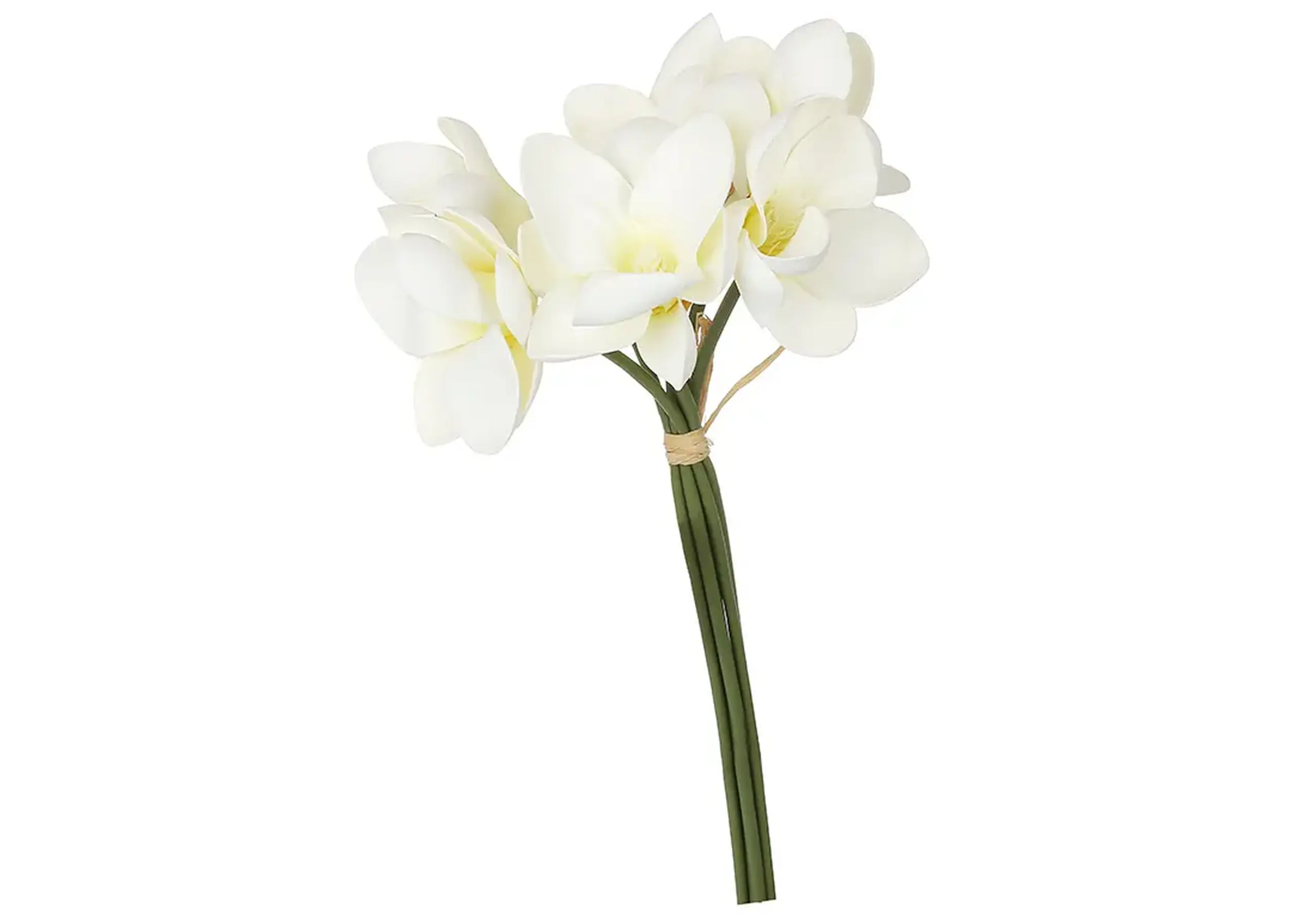 Buchet de Magnolie albă, 35cm