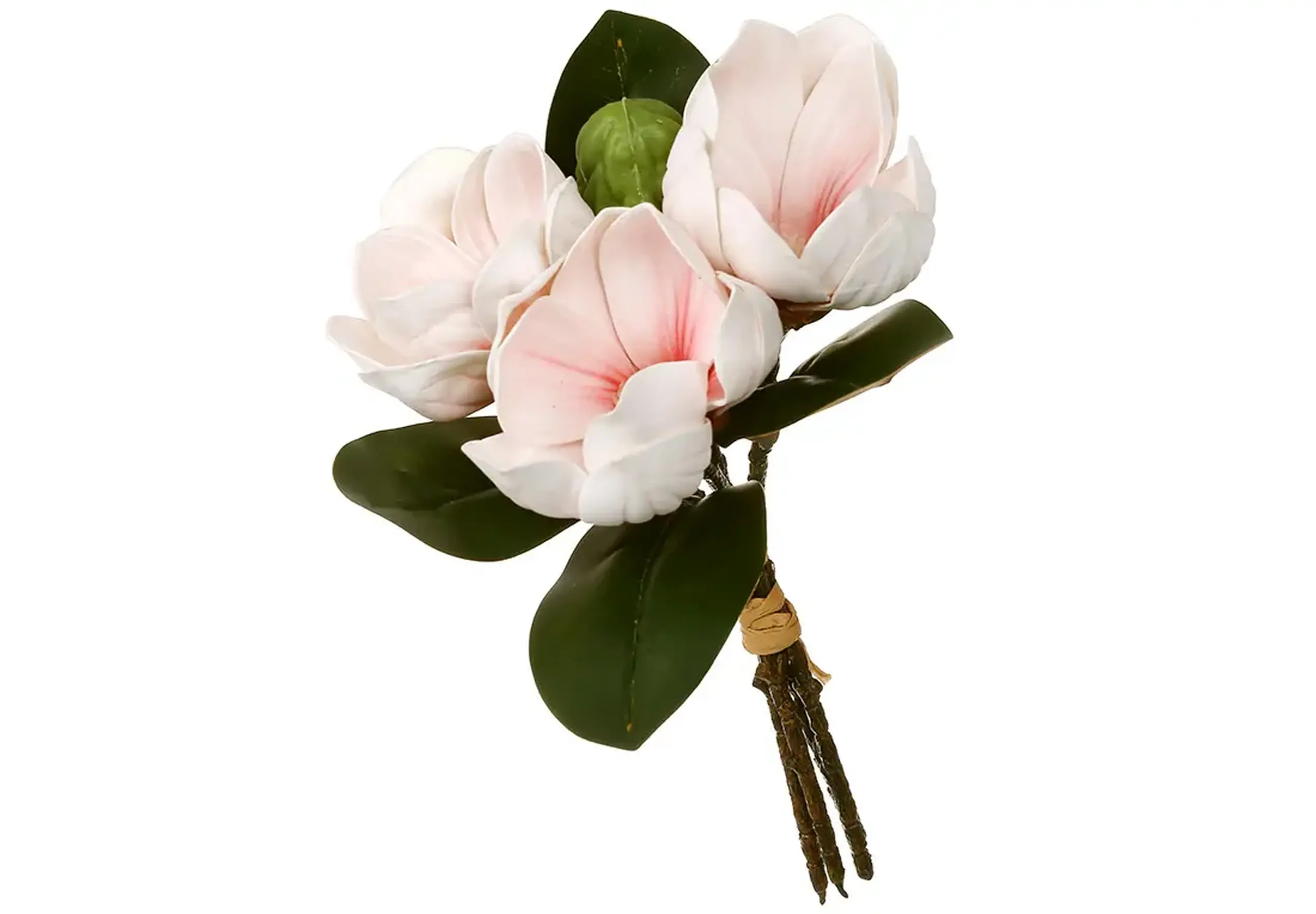 Buchet de magnolii 26 cm