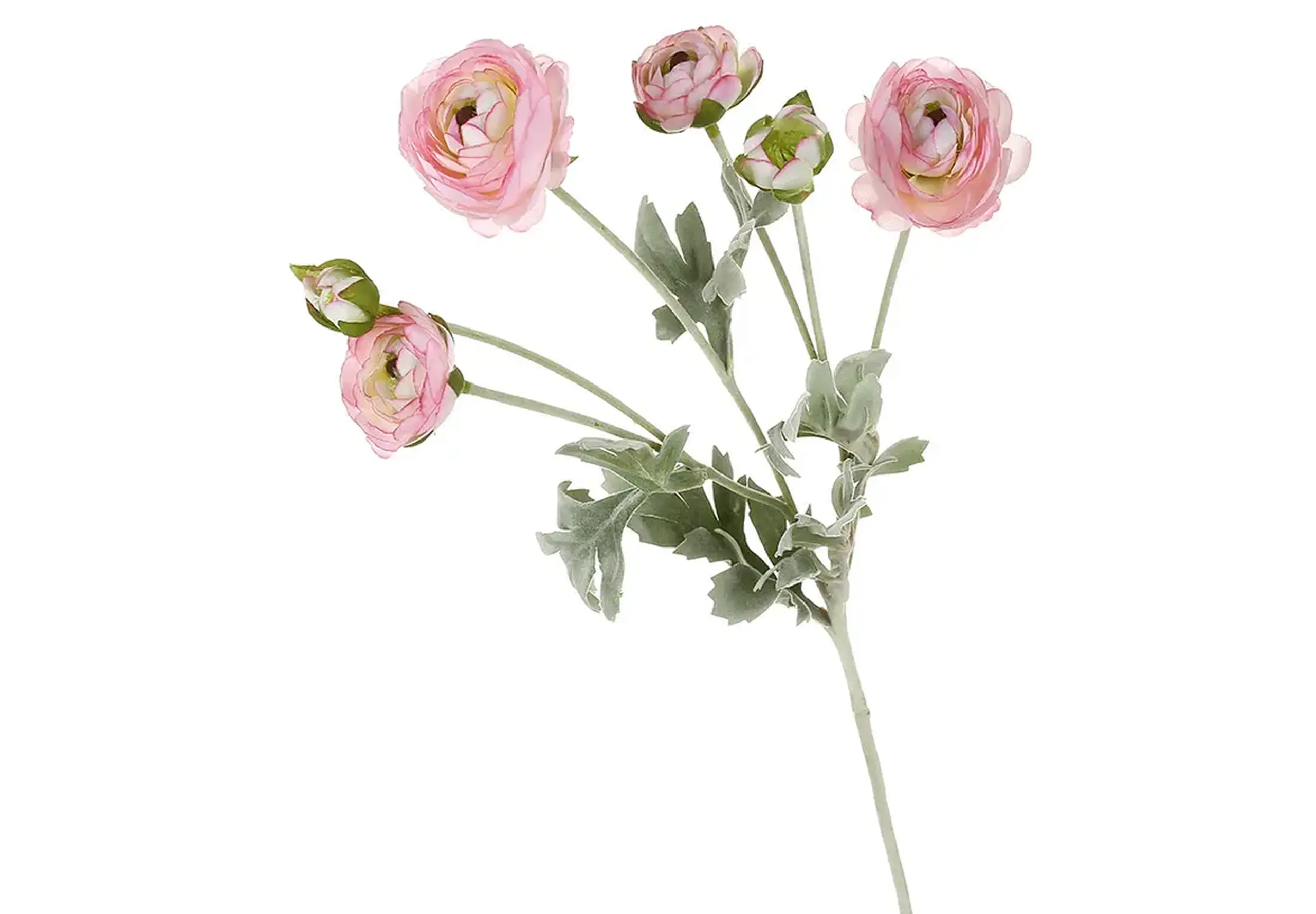 Creangă de Ranunculus roz, 67cm