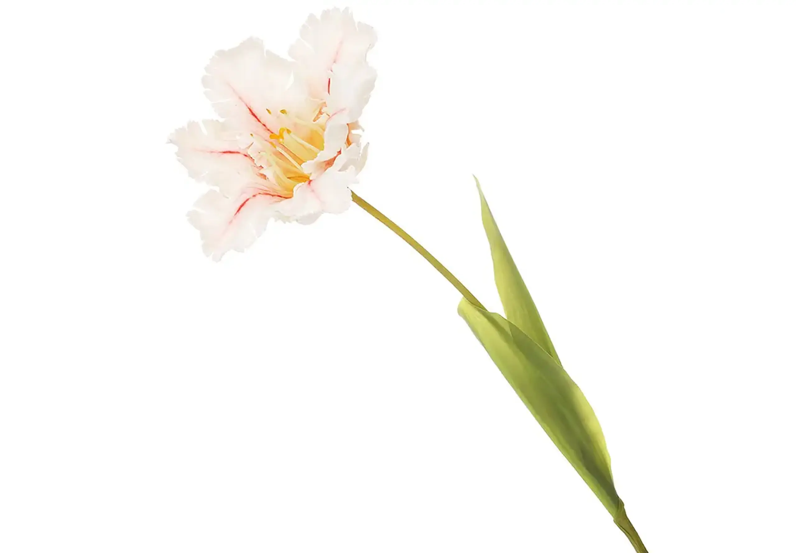 Lalea decorativă, 70cm