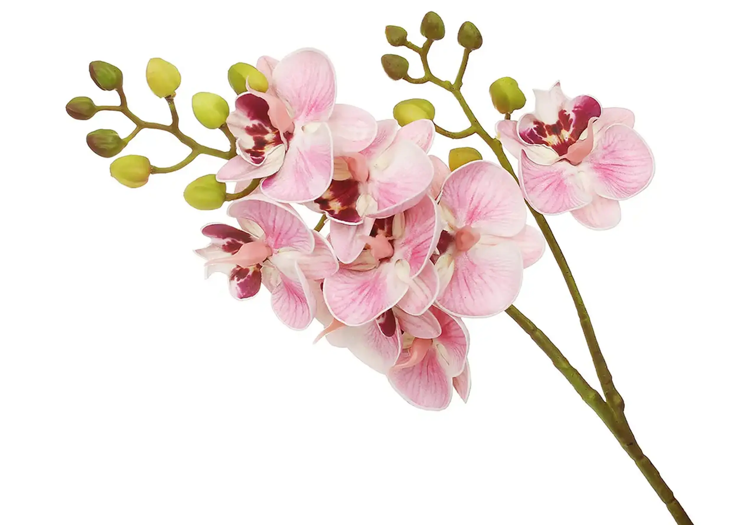Crenguță decorativă de Orhidee, 60cm