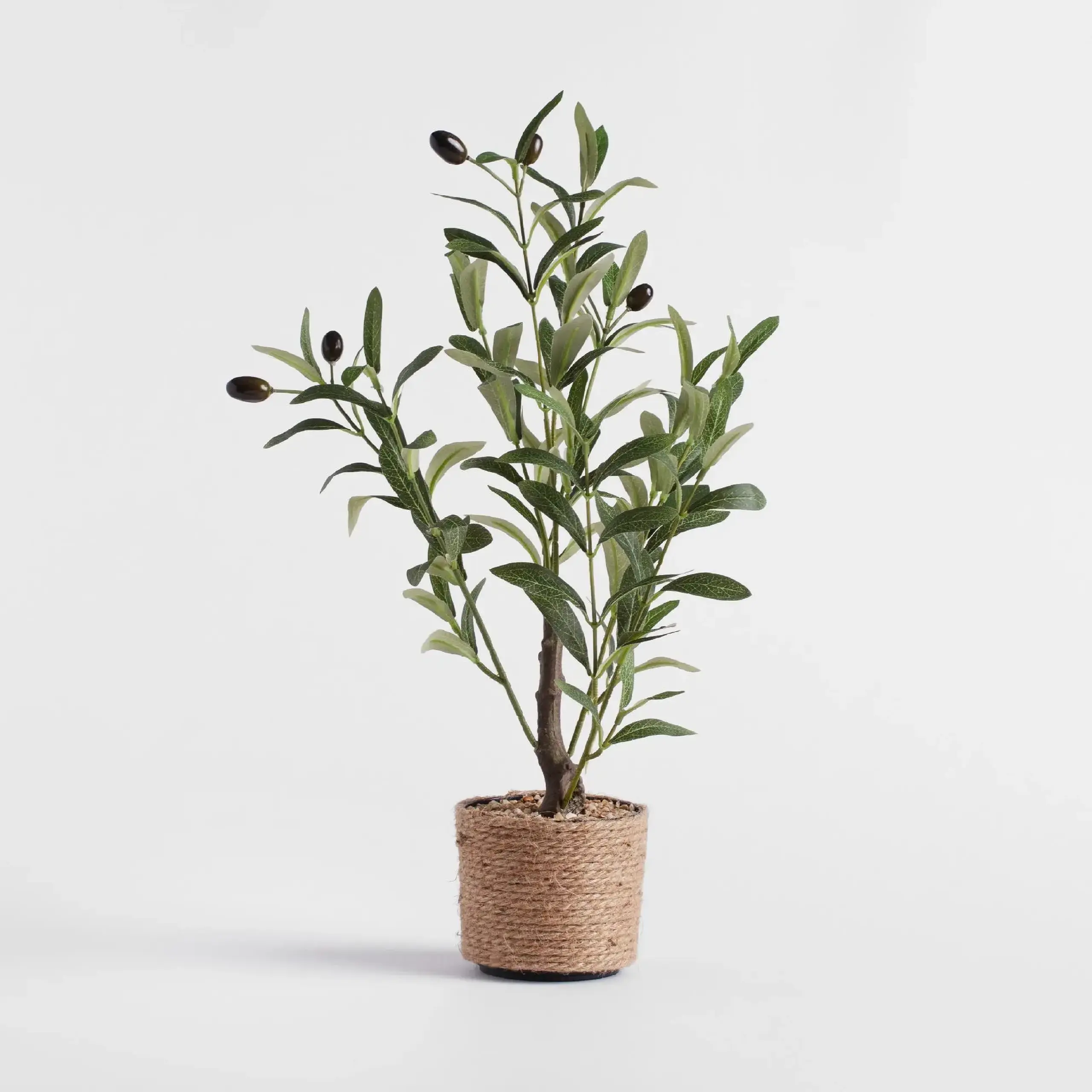 Floare decorativă OLIVESO