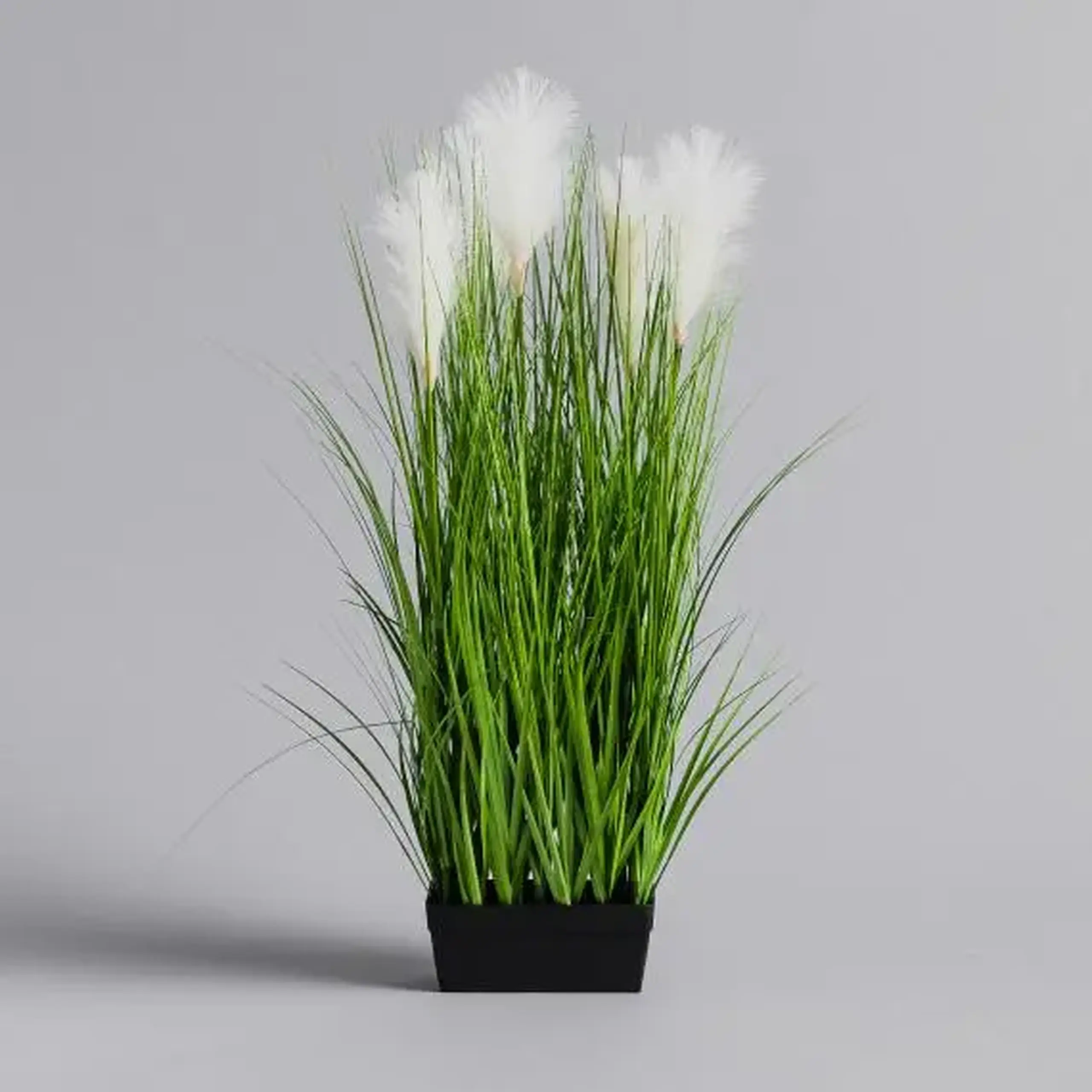 compoziție florală MISCANTIK
