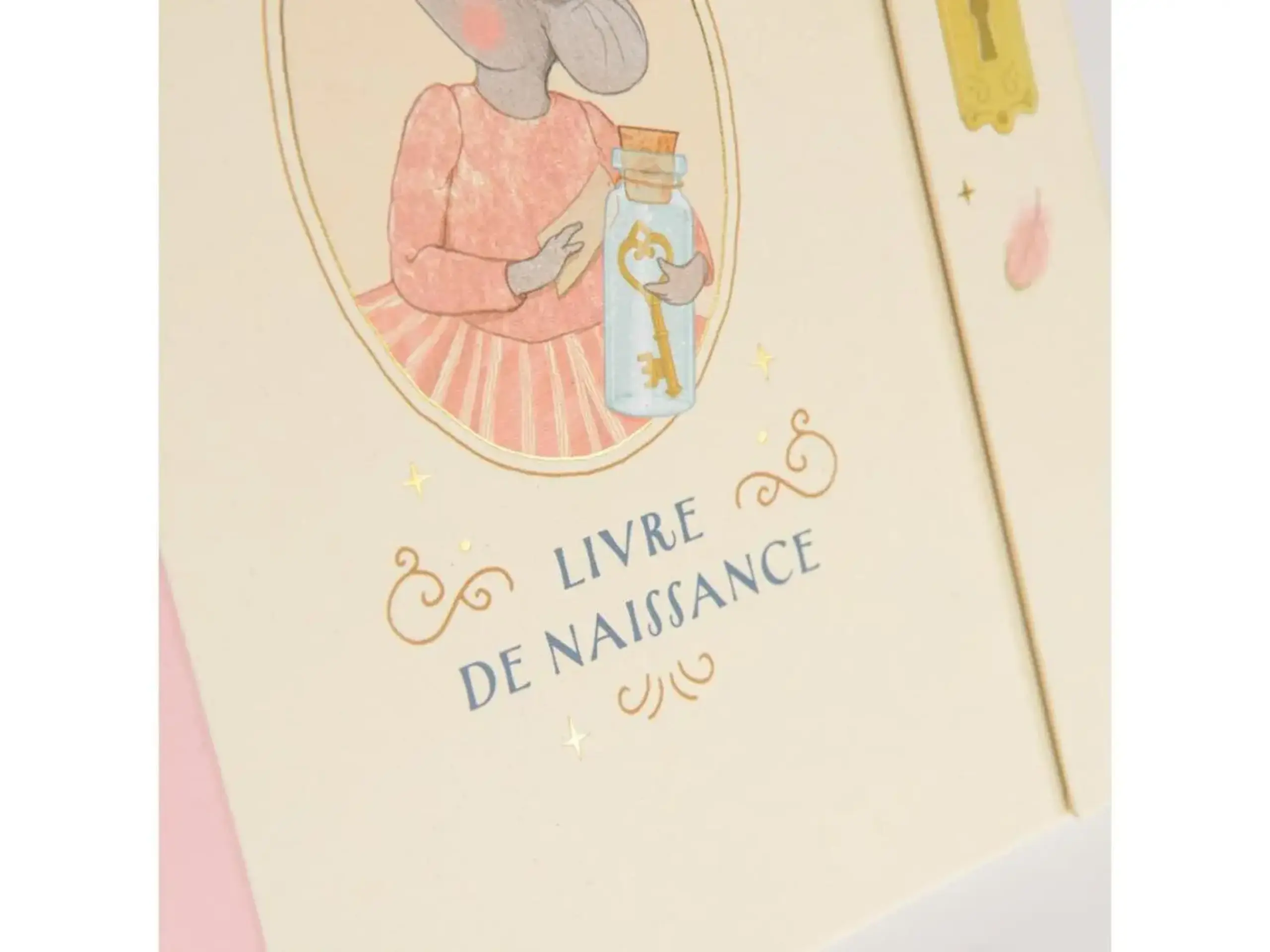 Album de amintiri pentru primii 6 ani, La Petite École de Danse — Moulin Roty