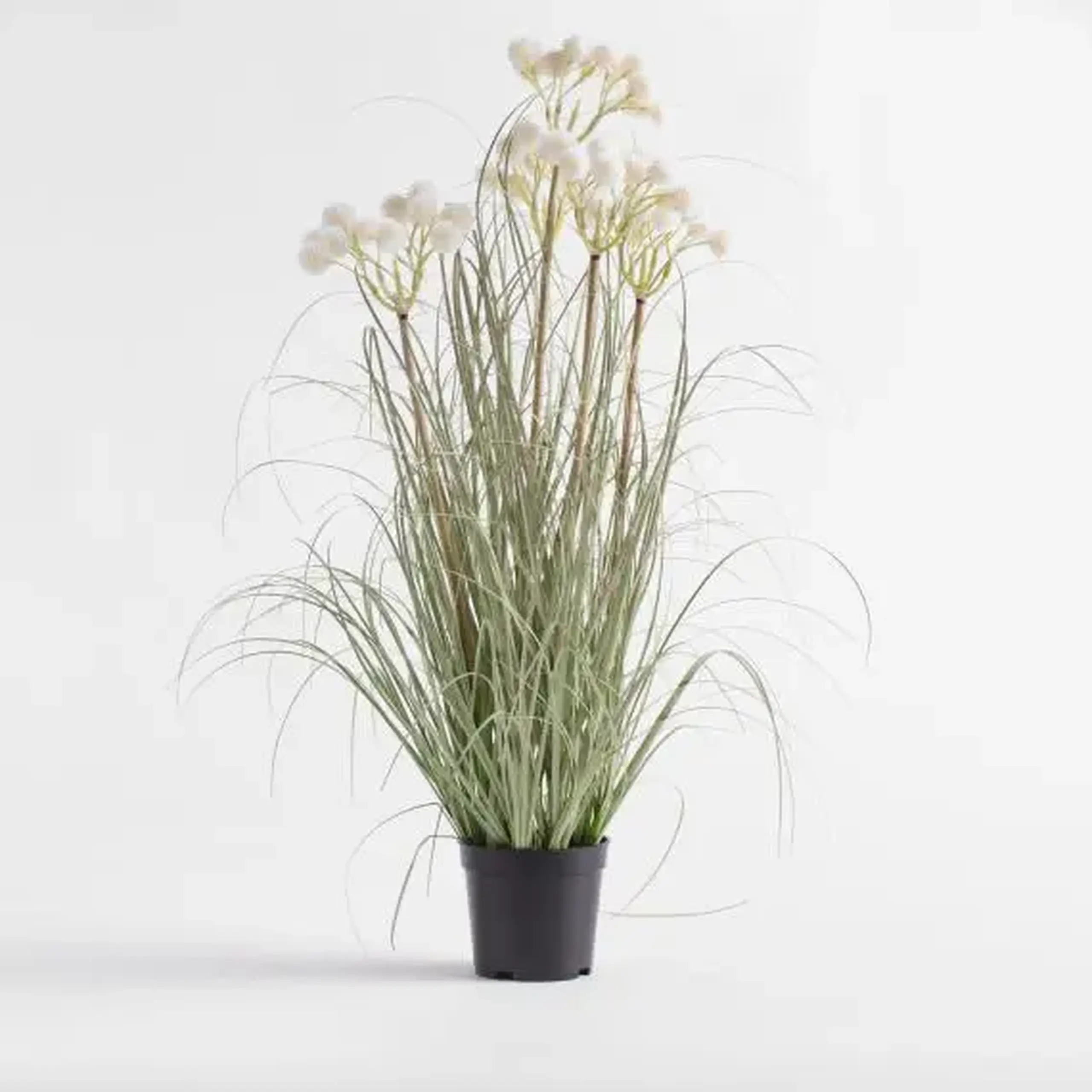Compoziție florală TRAVISI