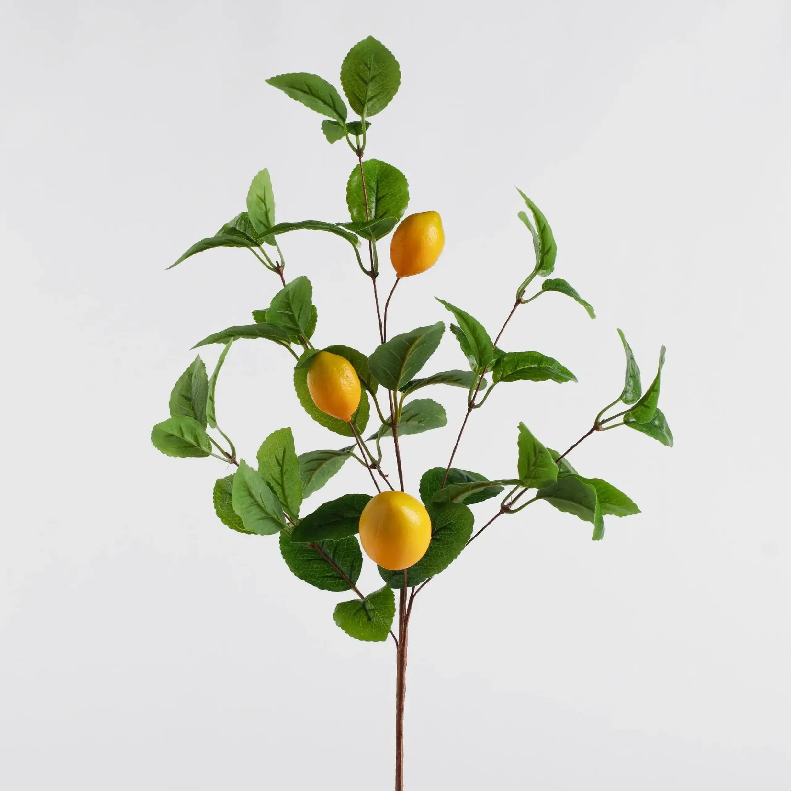 Compoziție de flori LIMONES