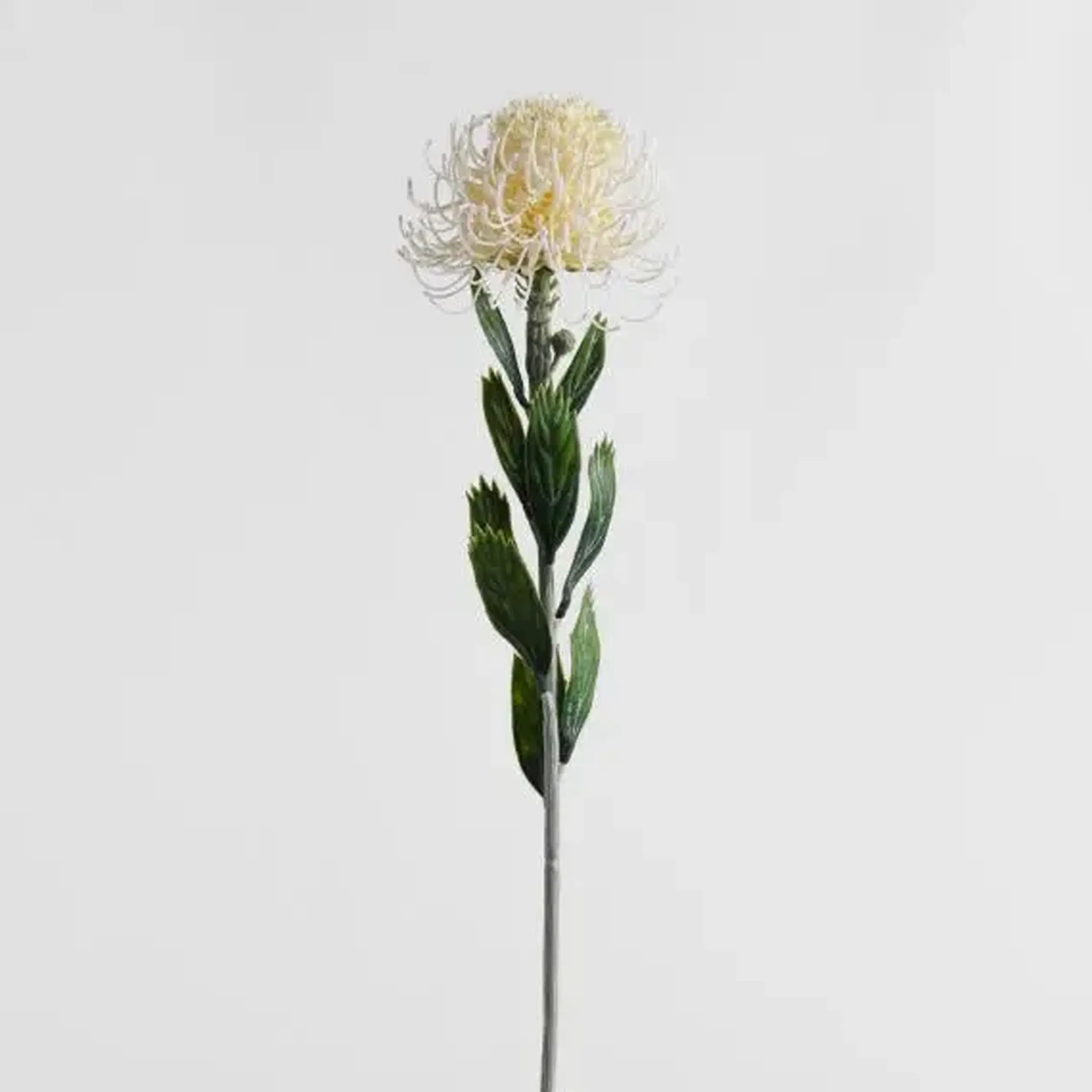 Floare decorativă IRIDIA