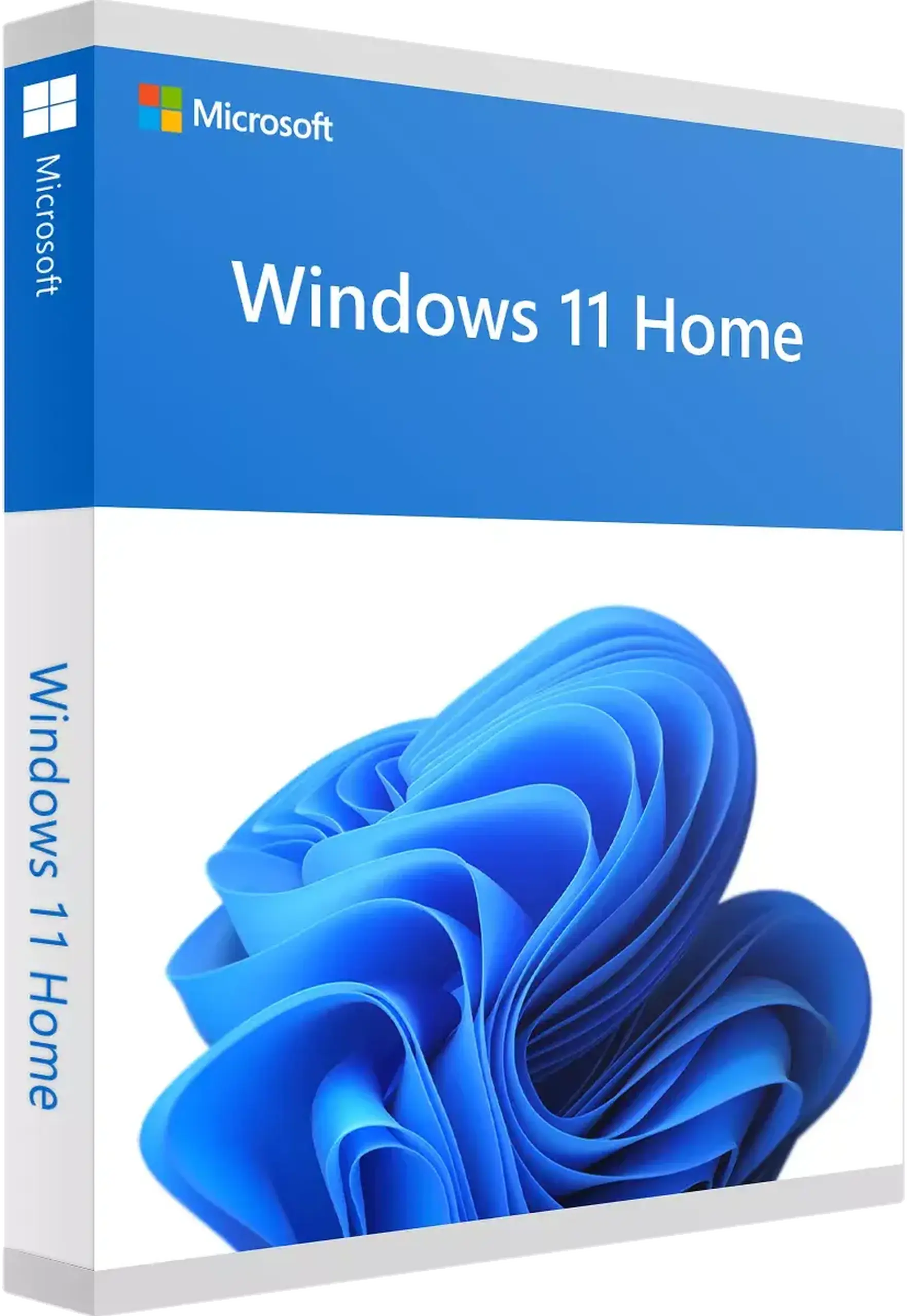 Sistem de operare Windows HOME FPP 11 64BIT ENG INTL