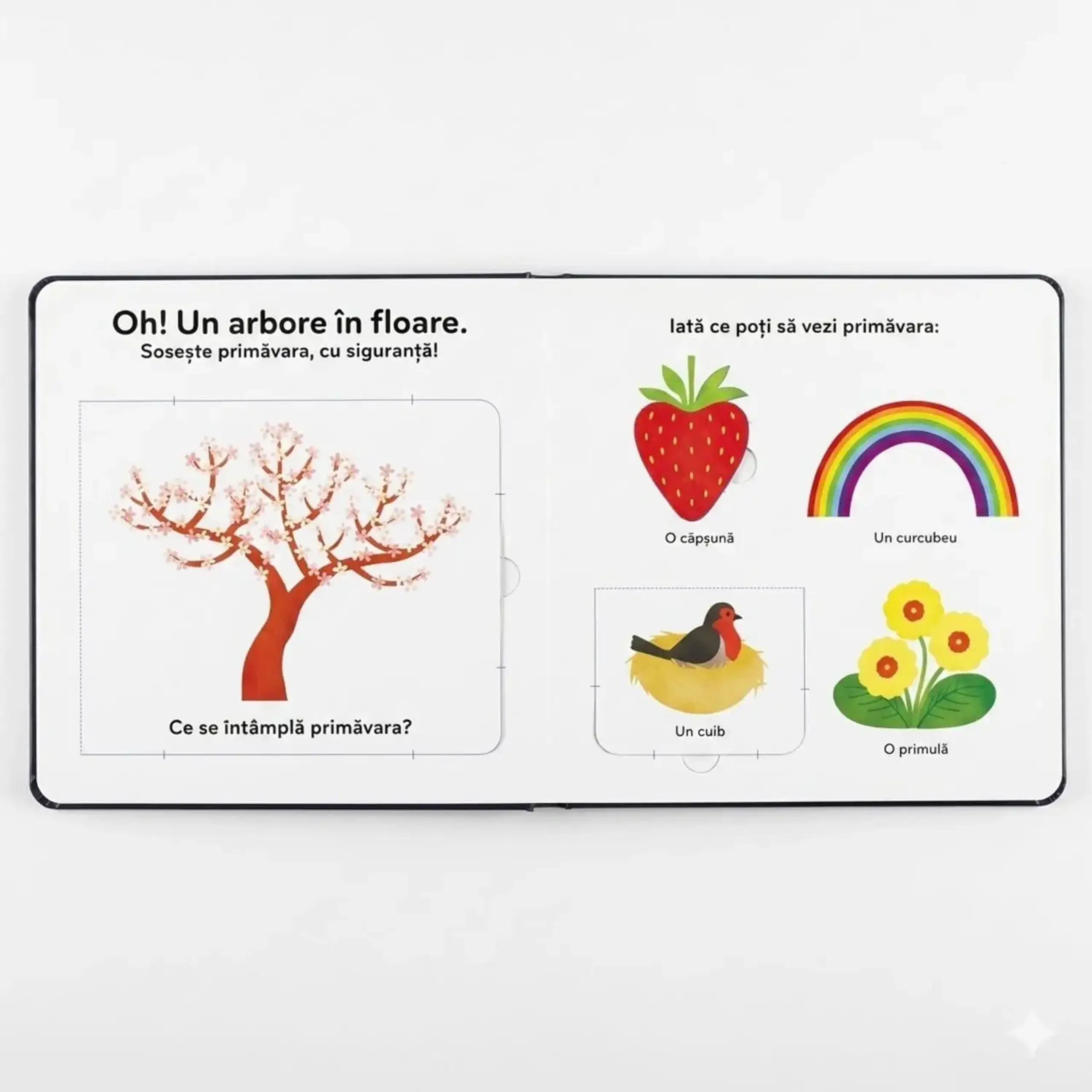 Anotimpurile. Cartea mea cu ilustrații — Editura ARC