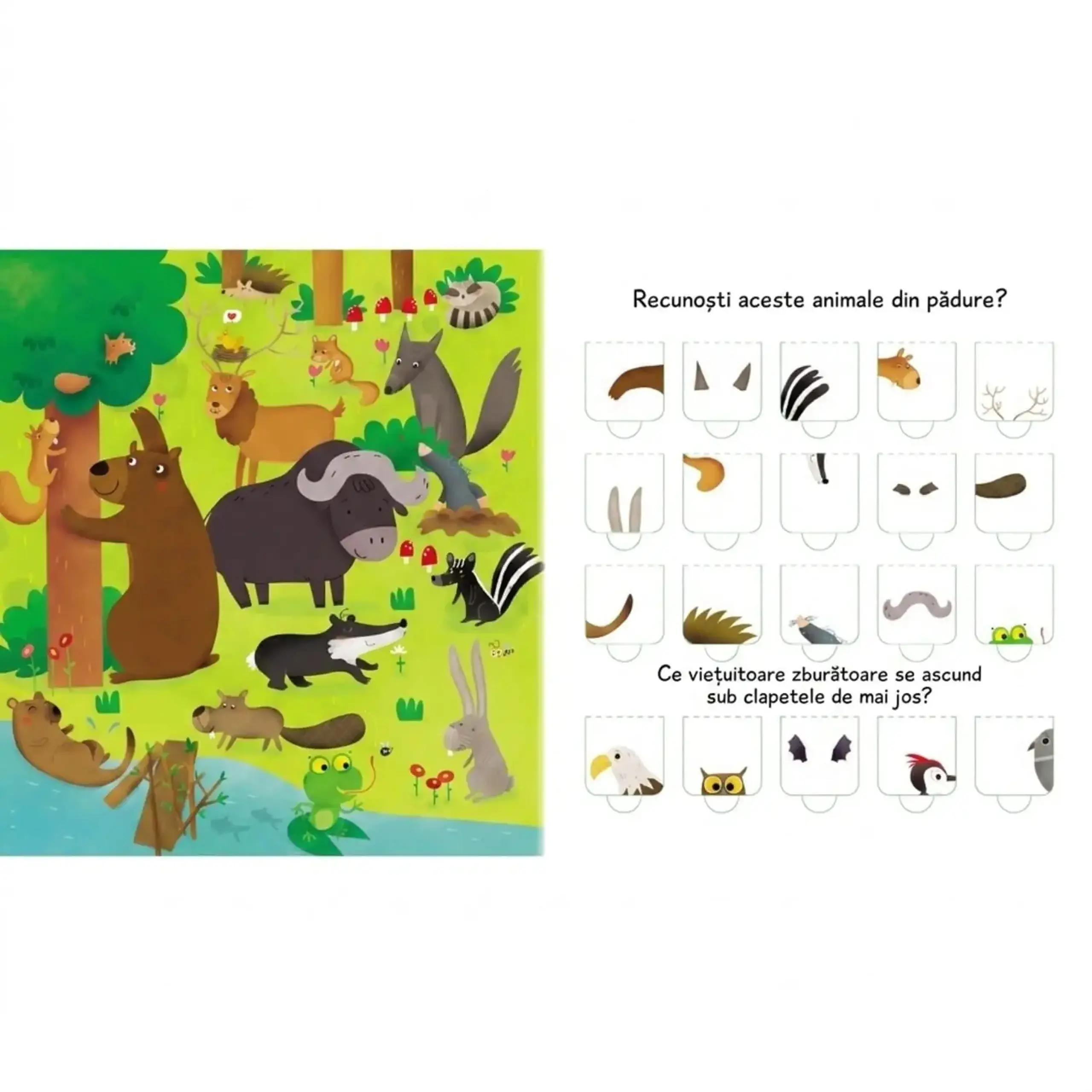 Animalele. Cartea cu 100 de clapete — Editura ARC