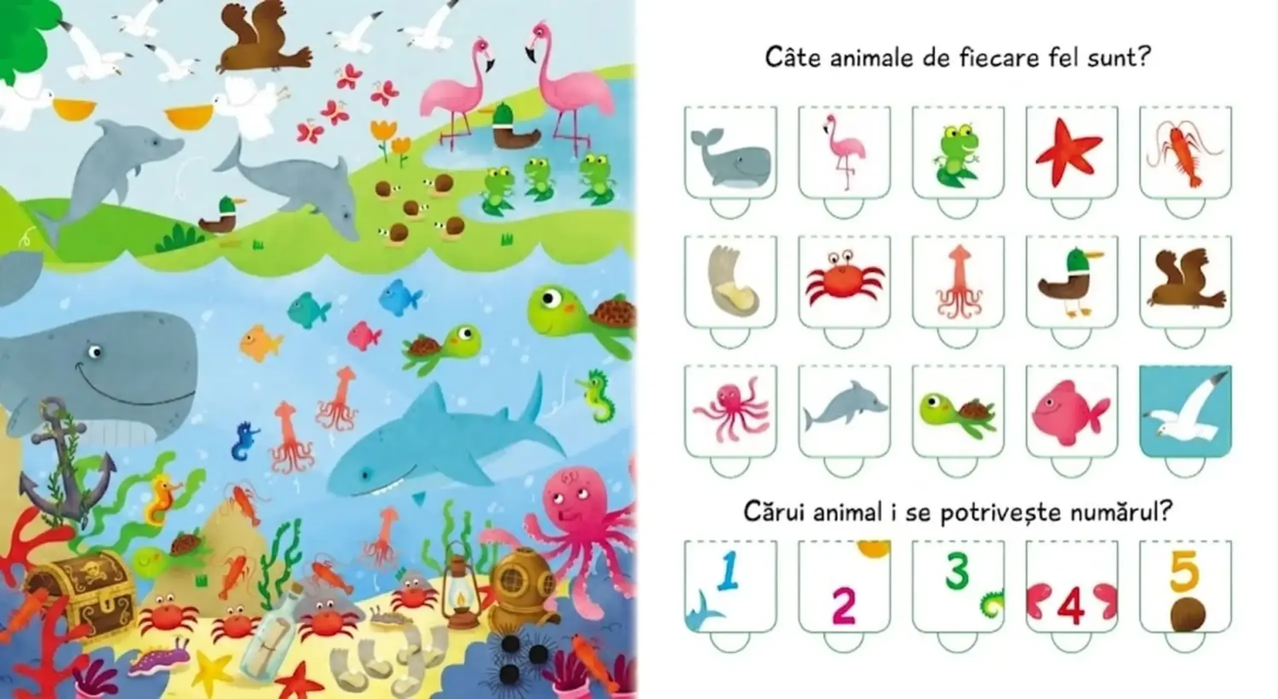 Numerele. Cartea cu 100 de clapete — Editura ARC