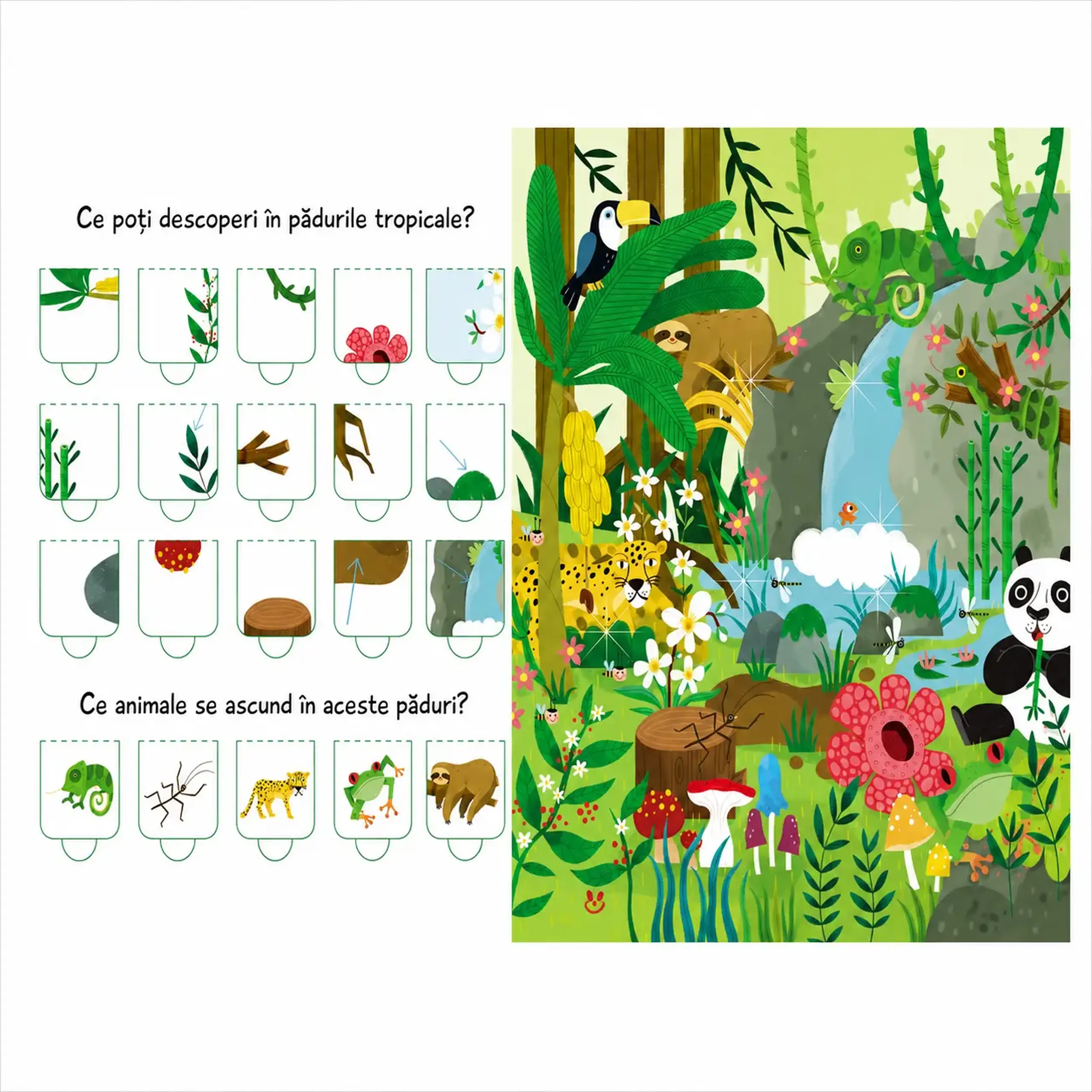 Natura. Cartea cu 100 de clapete — Editura ARC
