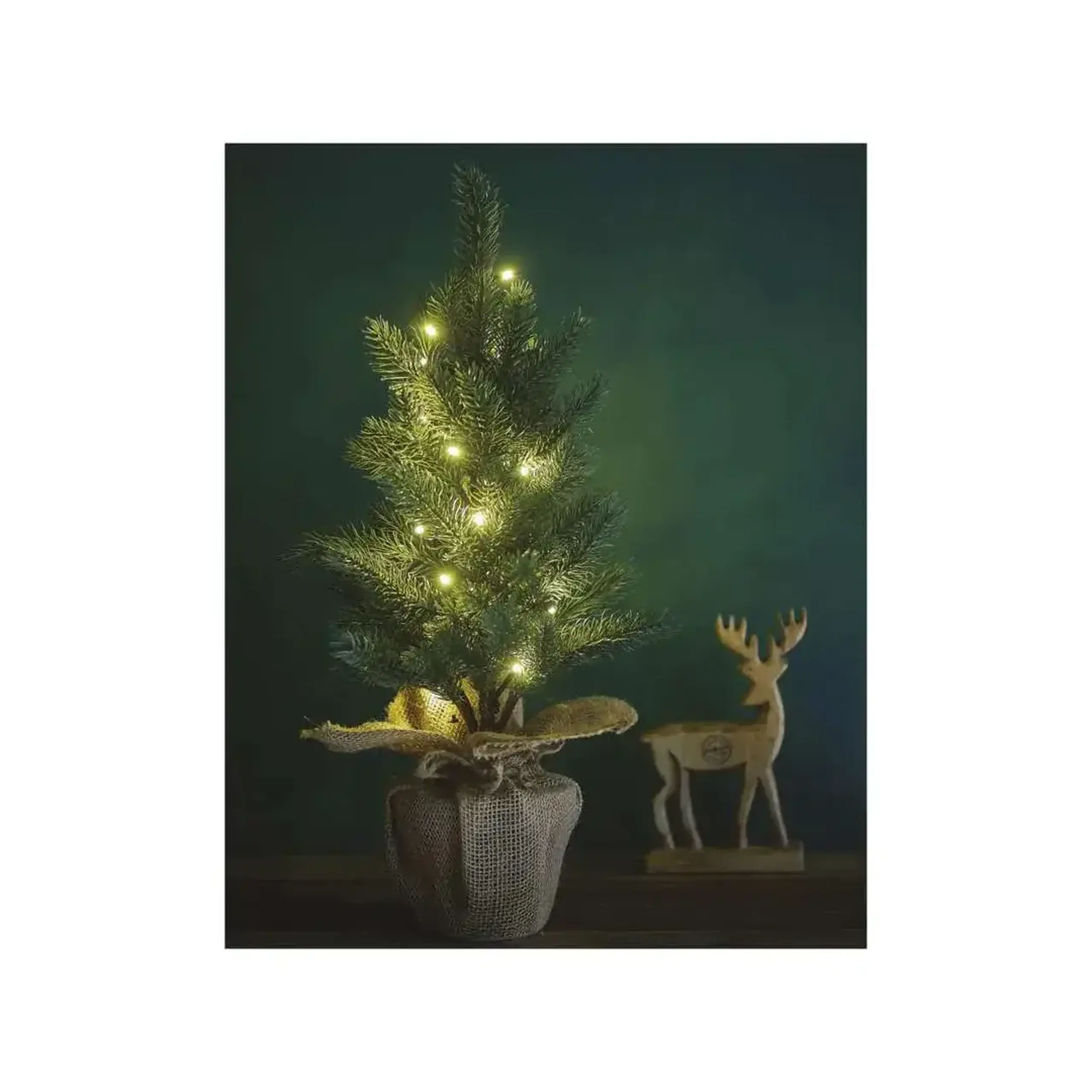Braduț decorativ 52 cm 3000 K 4.5 V DC IP20 LED EMOS
