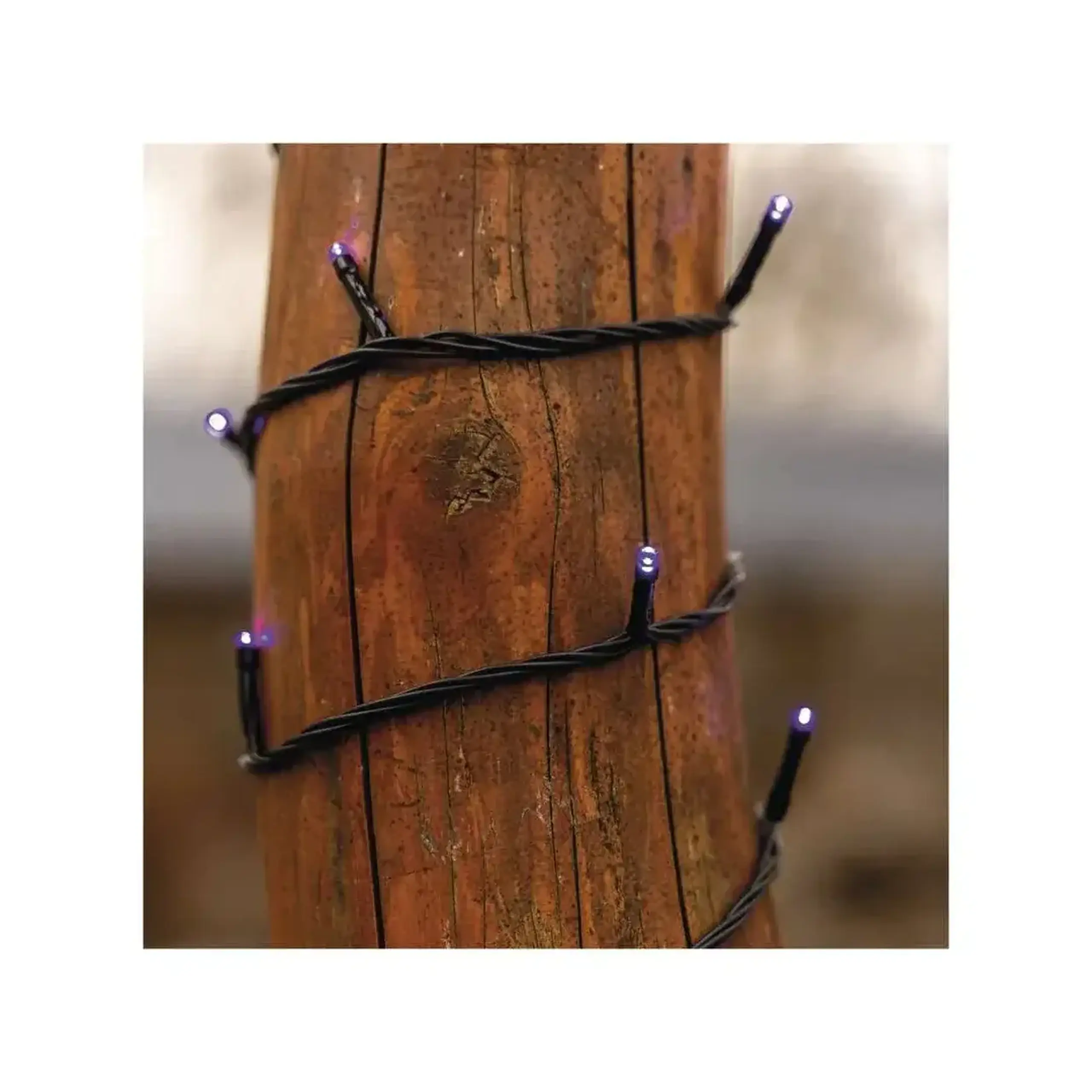 Ghirlandă "Fir" 3 W 5 m 30 V DC IP44 LED EMOS - Violet 5 W (W)