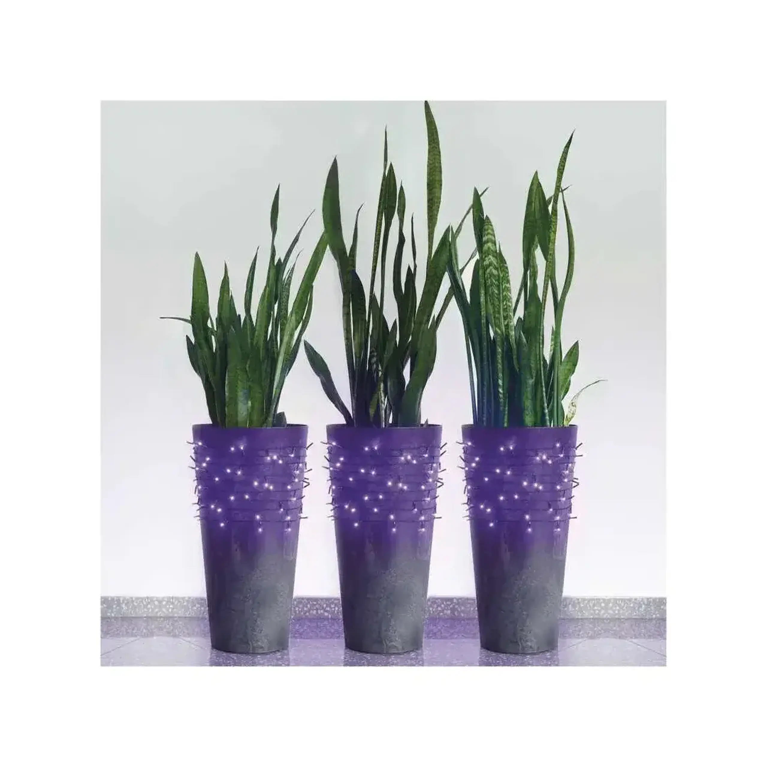 Ghirlandă "Fir" 3 W 5 m 30 V DC IP44 LED EMOS - Violet 5 W (W)