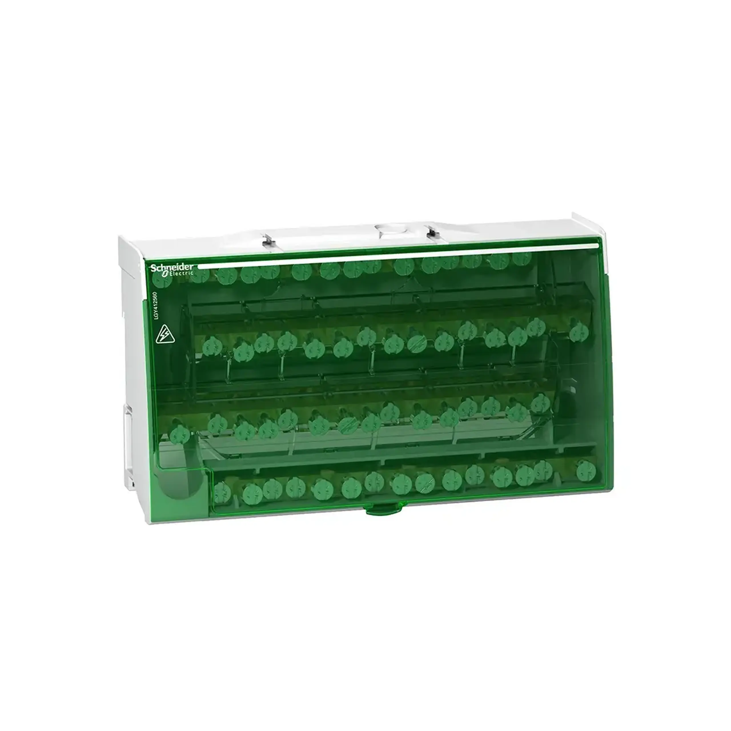 Bloc de distribuție Schneider-Electric LGY412560 174 x 100 x 50 mm 160 A 500 V