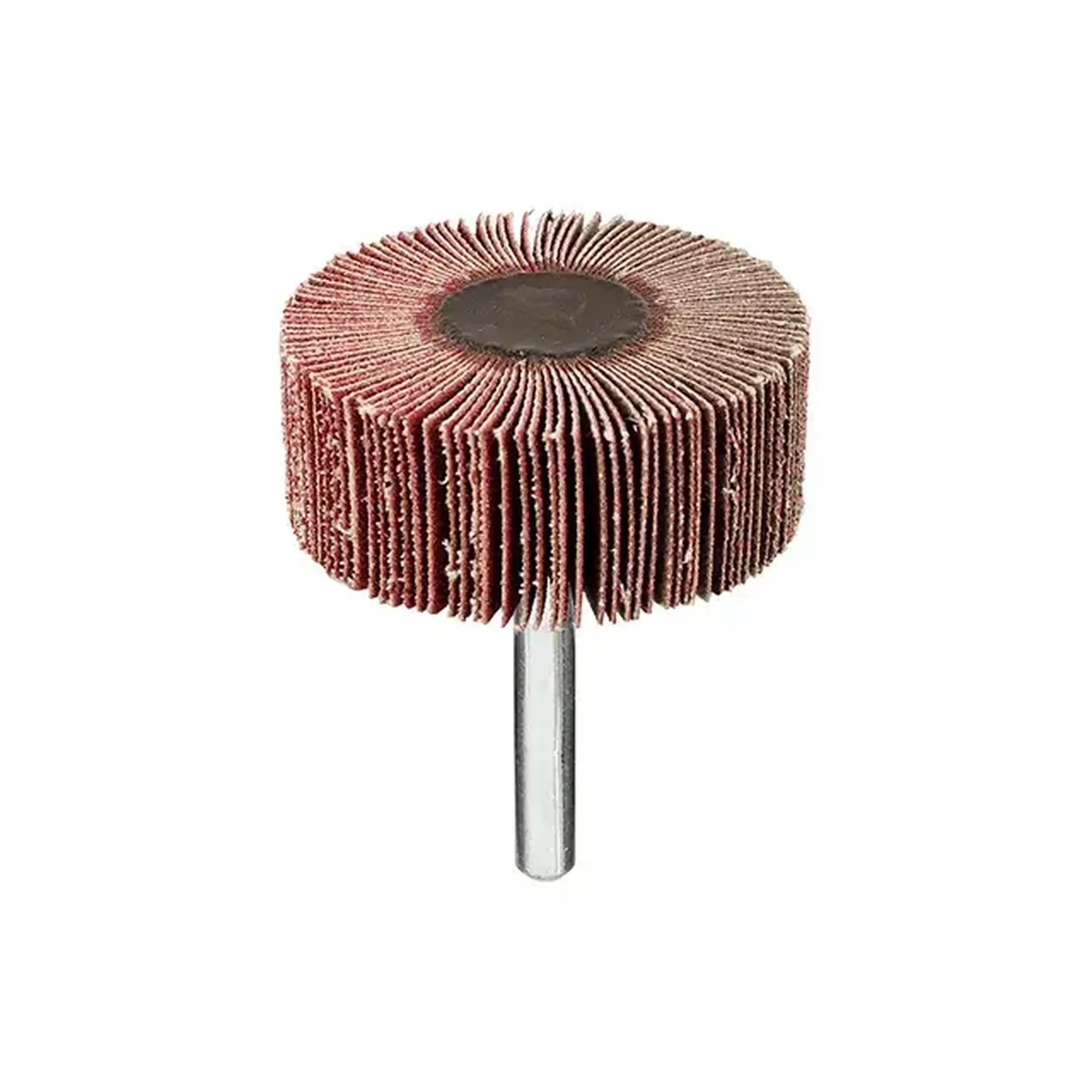 Perie lamelară cu tijă P60 50 x 20 mm 6 mm KWB
