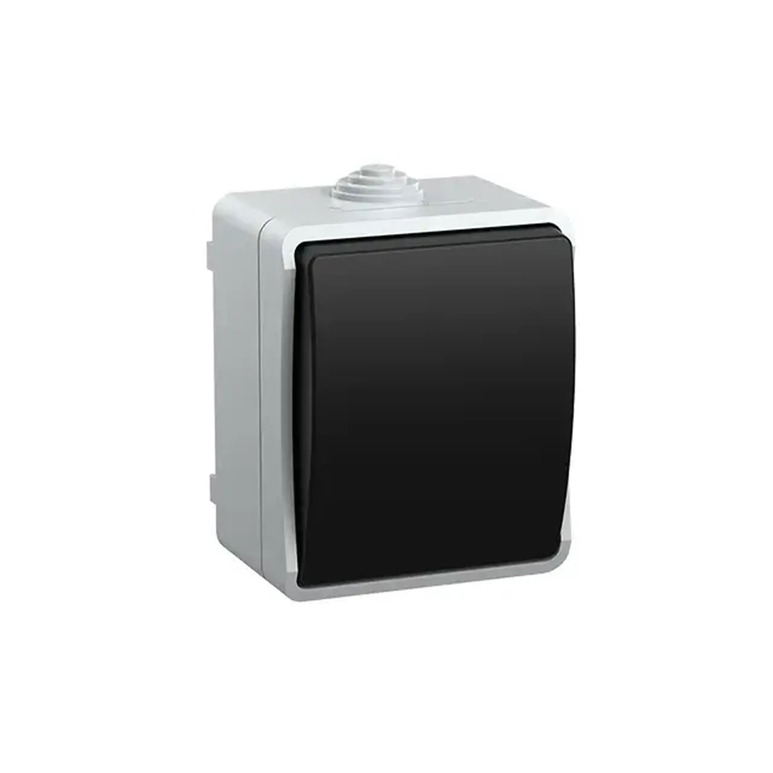 Întrerupător BC20-2-0 ФCp 10 A 250 V sur/Negru IEK