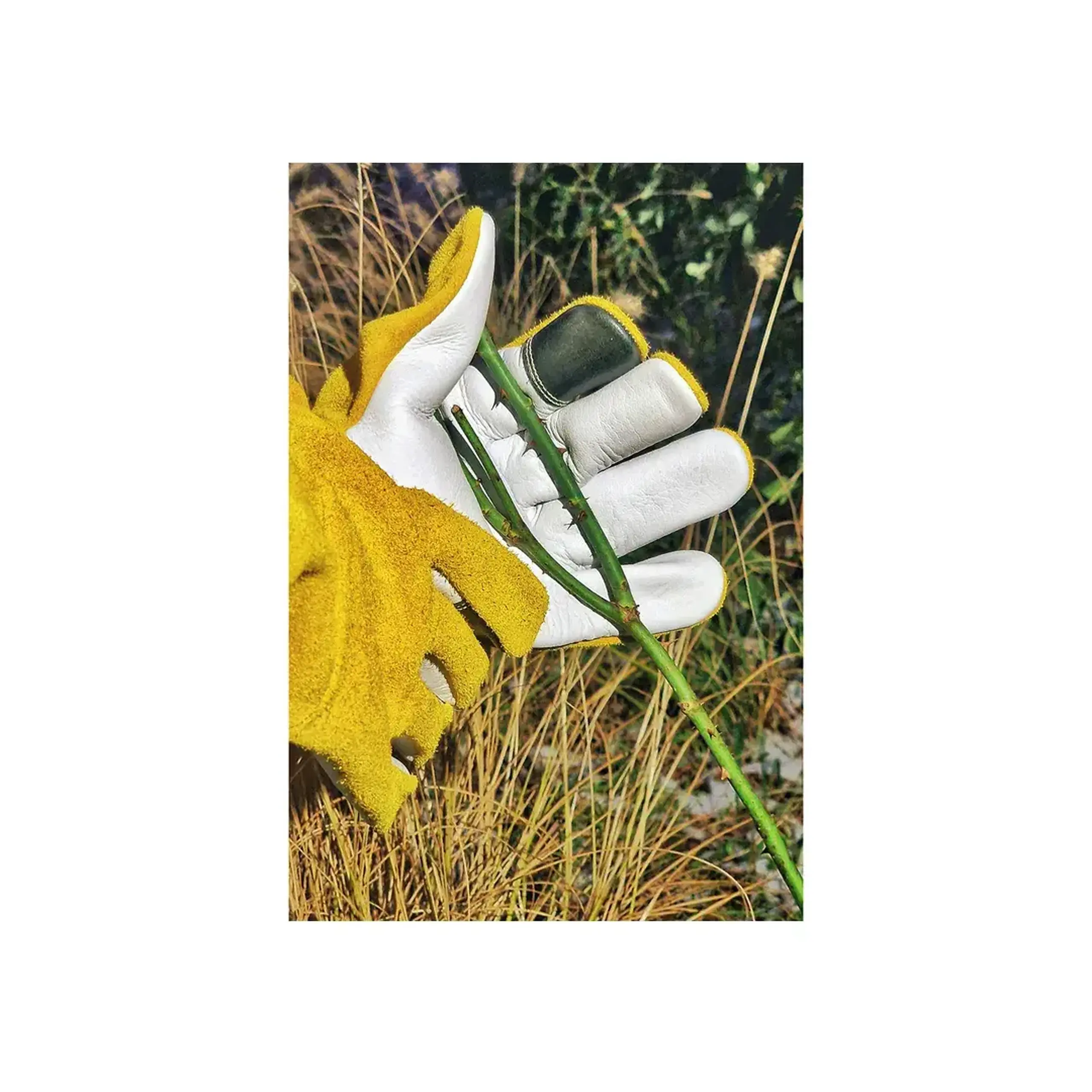 Mănuşi de grădină cu protecţie anti-spini 8 Galben Flo