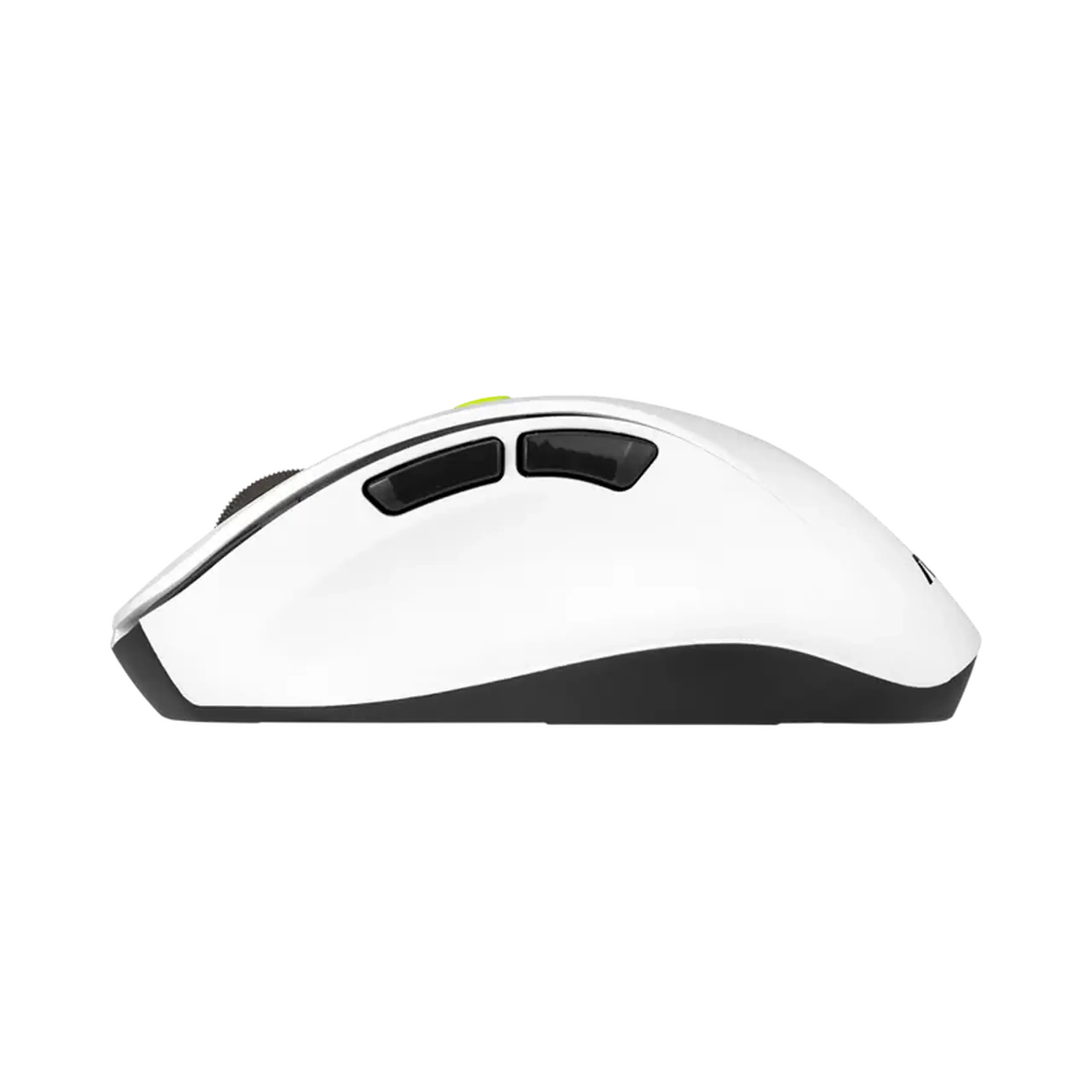 Mouse ASUS MD105, Volt Green